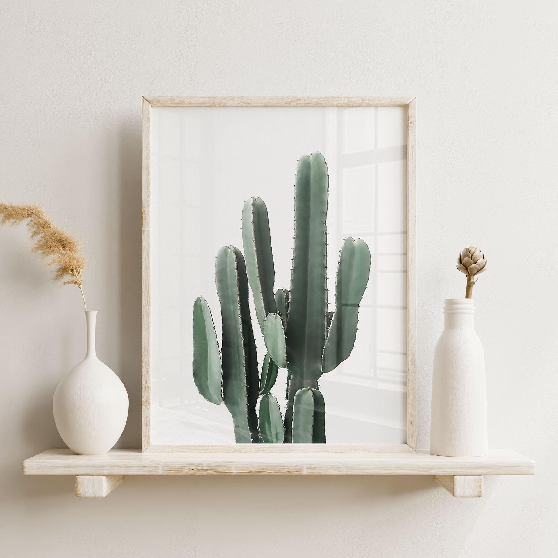 Póster planta de cactus - Sisi & Seb