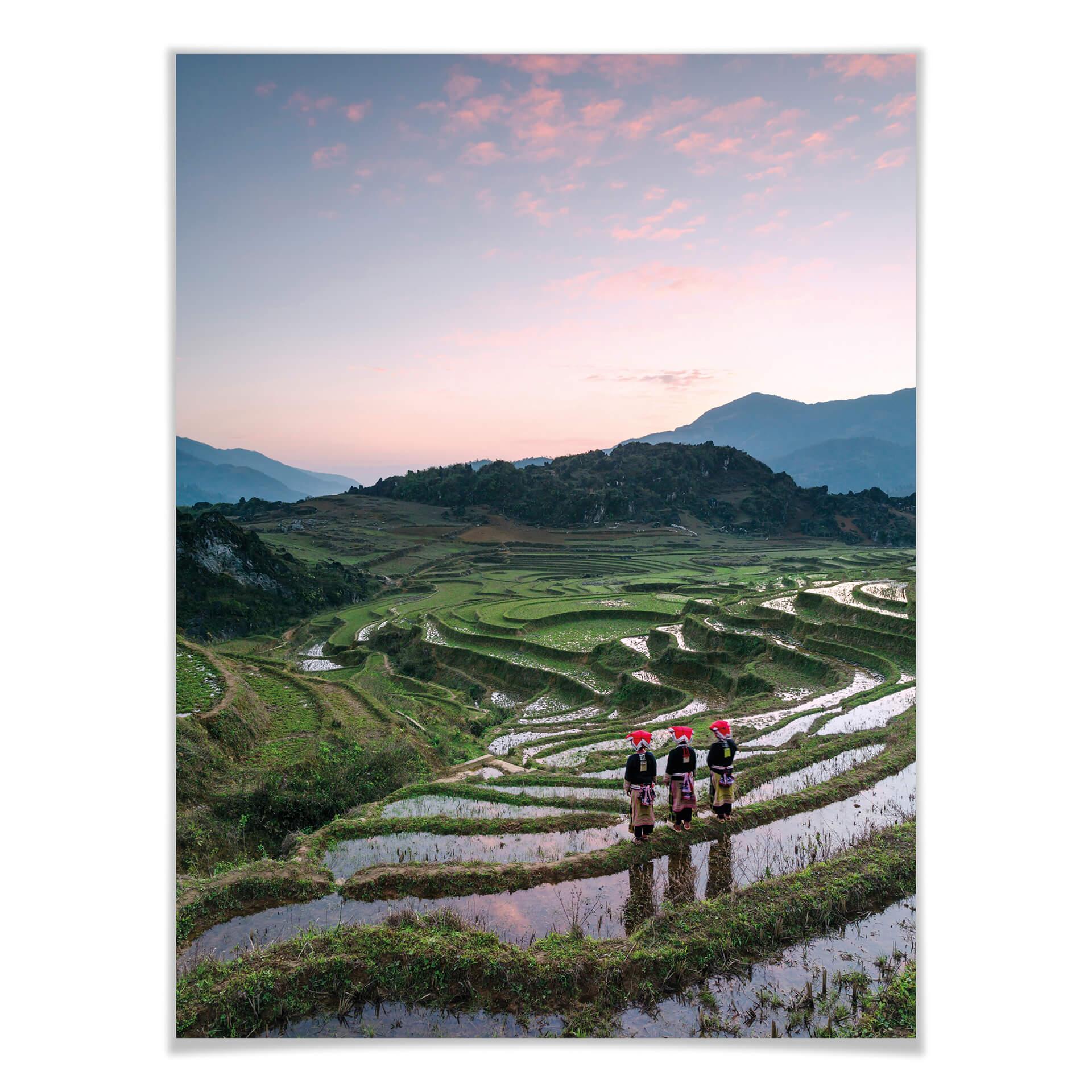 Póster Colombo - Terrazas de arroz en Vietnam
