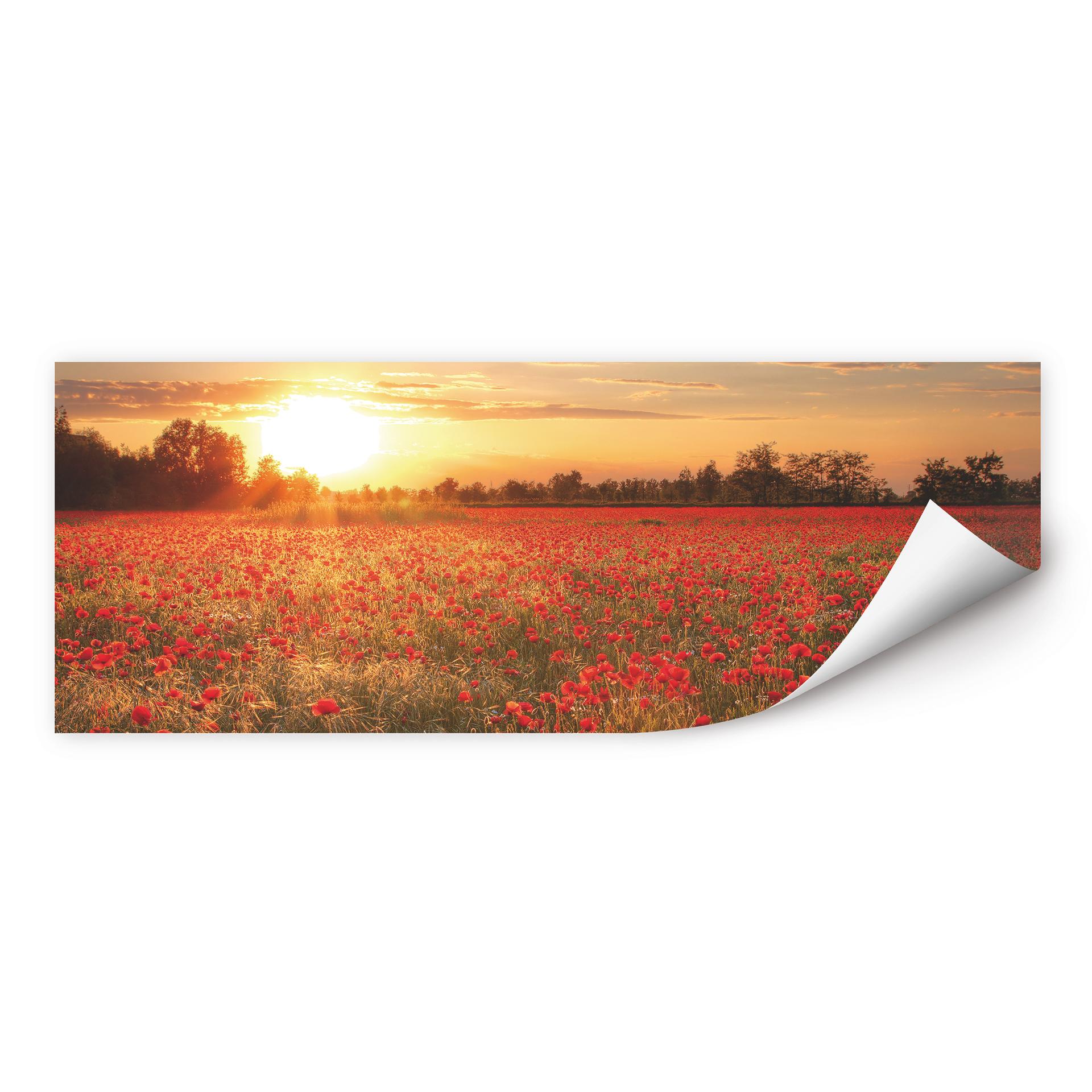 Muurprints Klaprozen bij Zonsondergang Panorama