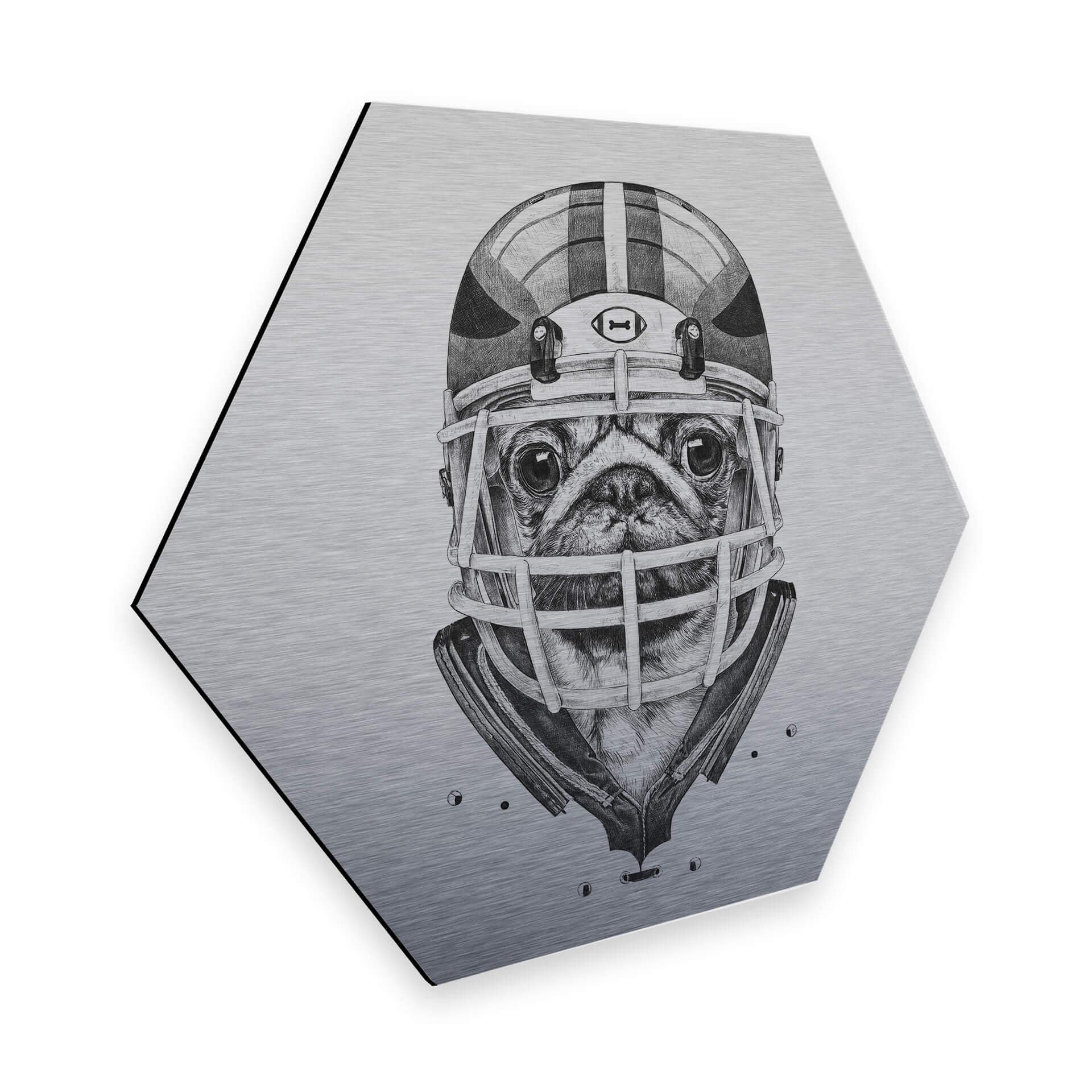 Hexagon - Alu-Dibond zilver effect Kools - American Pug Football