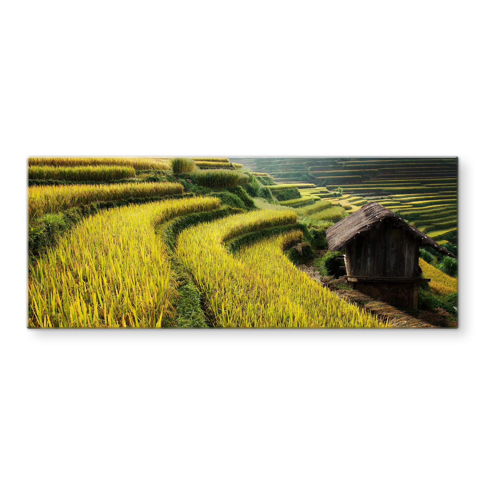 Stænkplade Intarob - Rismarker i Vietnam - Panorama