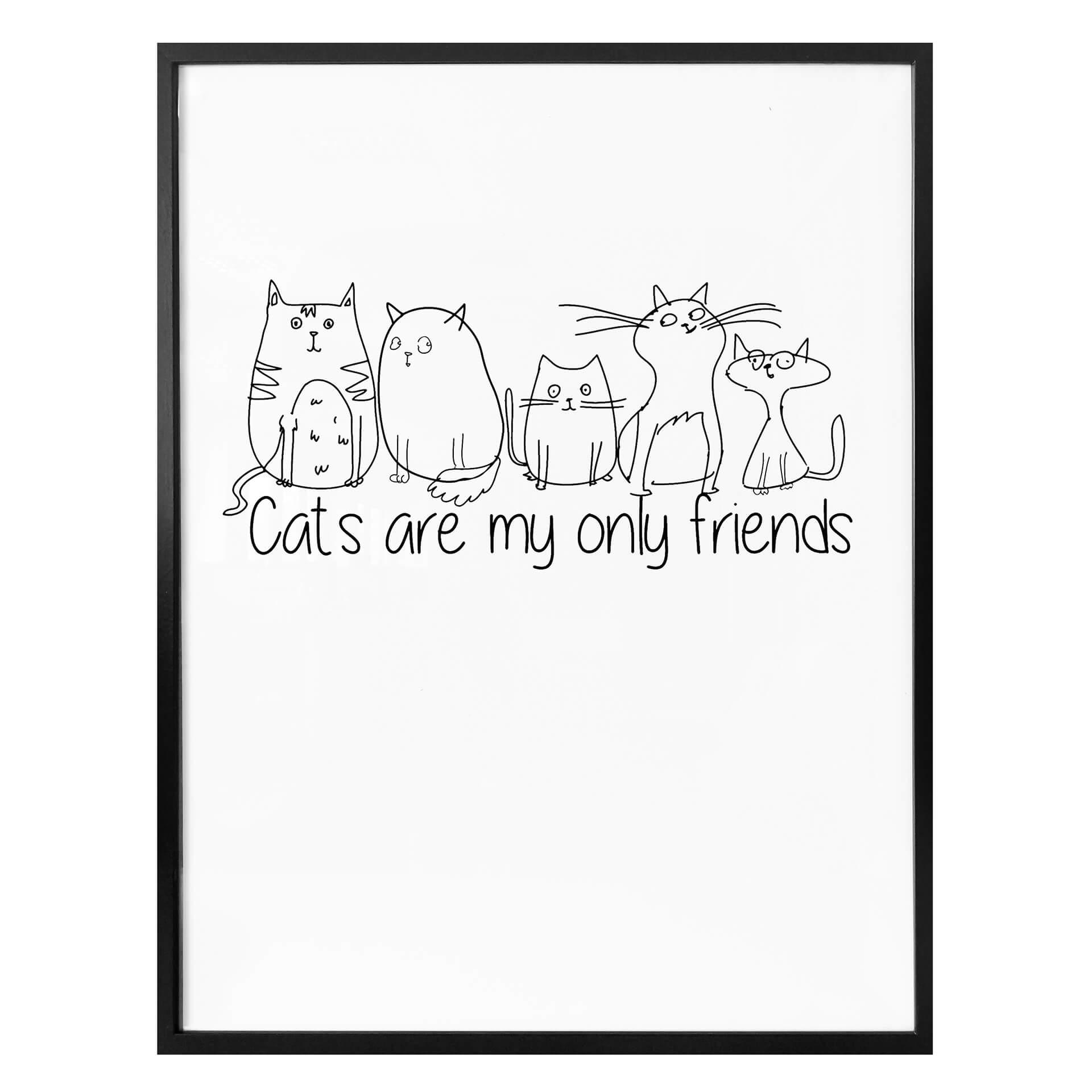 Póster - Los gatos son mis únicos amigos