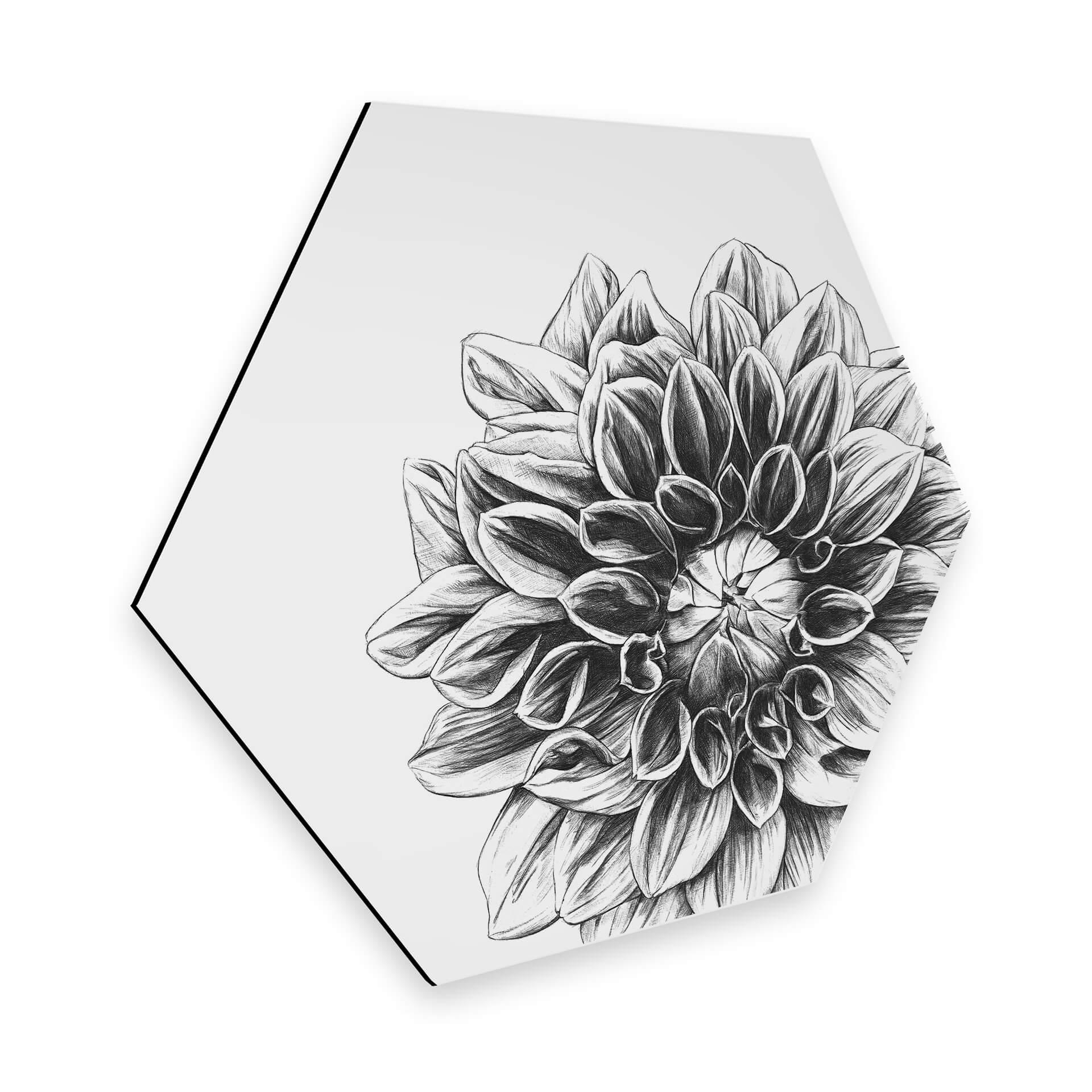 Hexagon - Alu-Dibond Kools - Dahlia