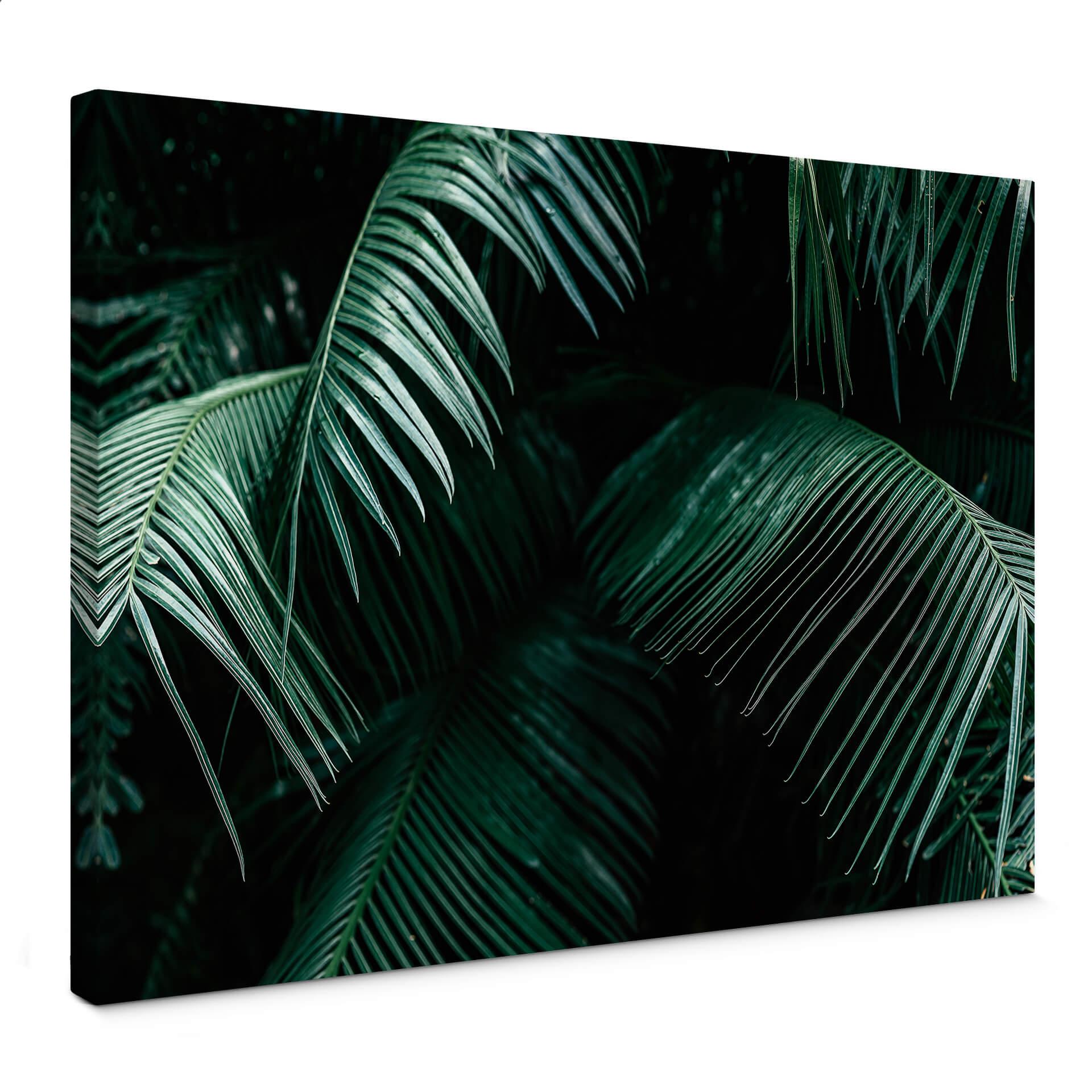 Lienzo Botánica tropical