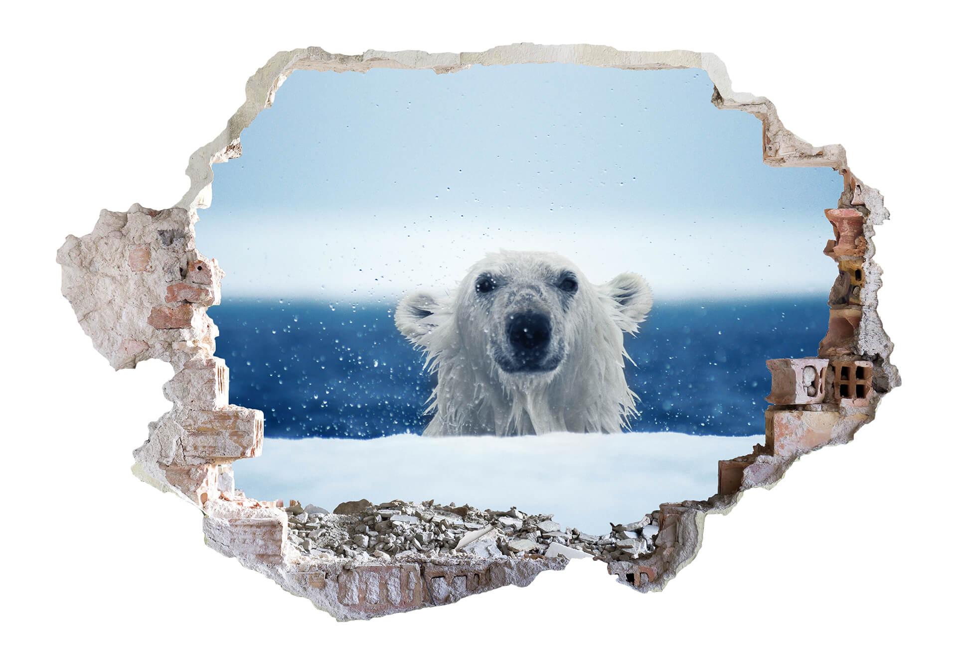 Adesivo 3D – National Geographic Orso polare