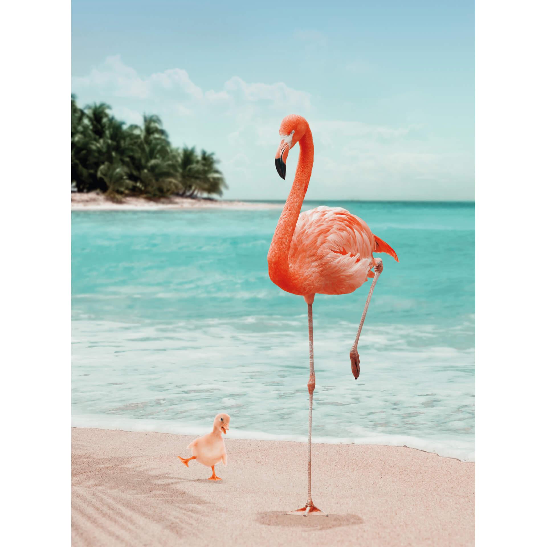 Fotobehang Loose - Wannabe Flamingo