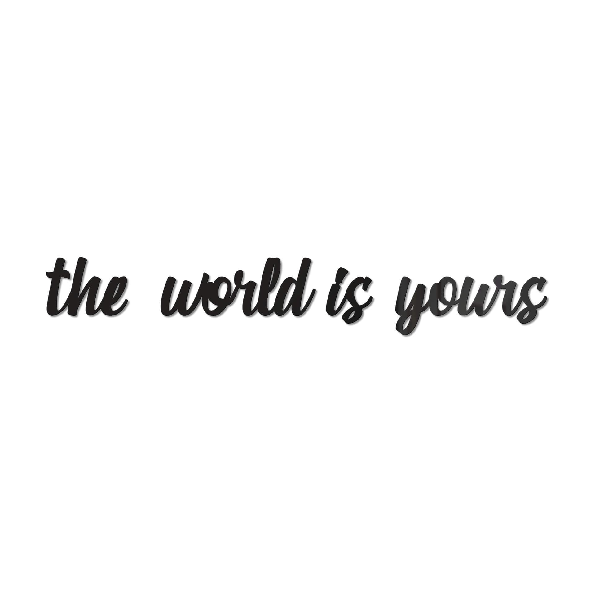 Scritta acrilico - The world is yours