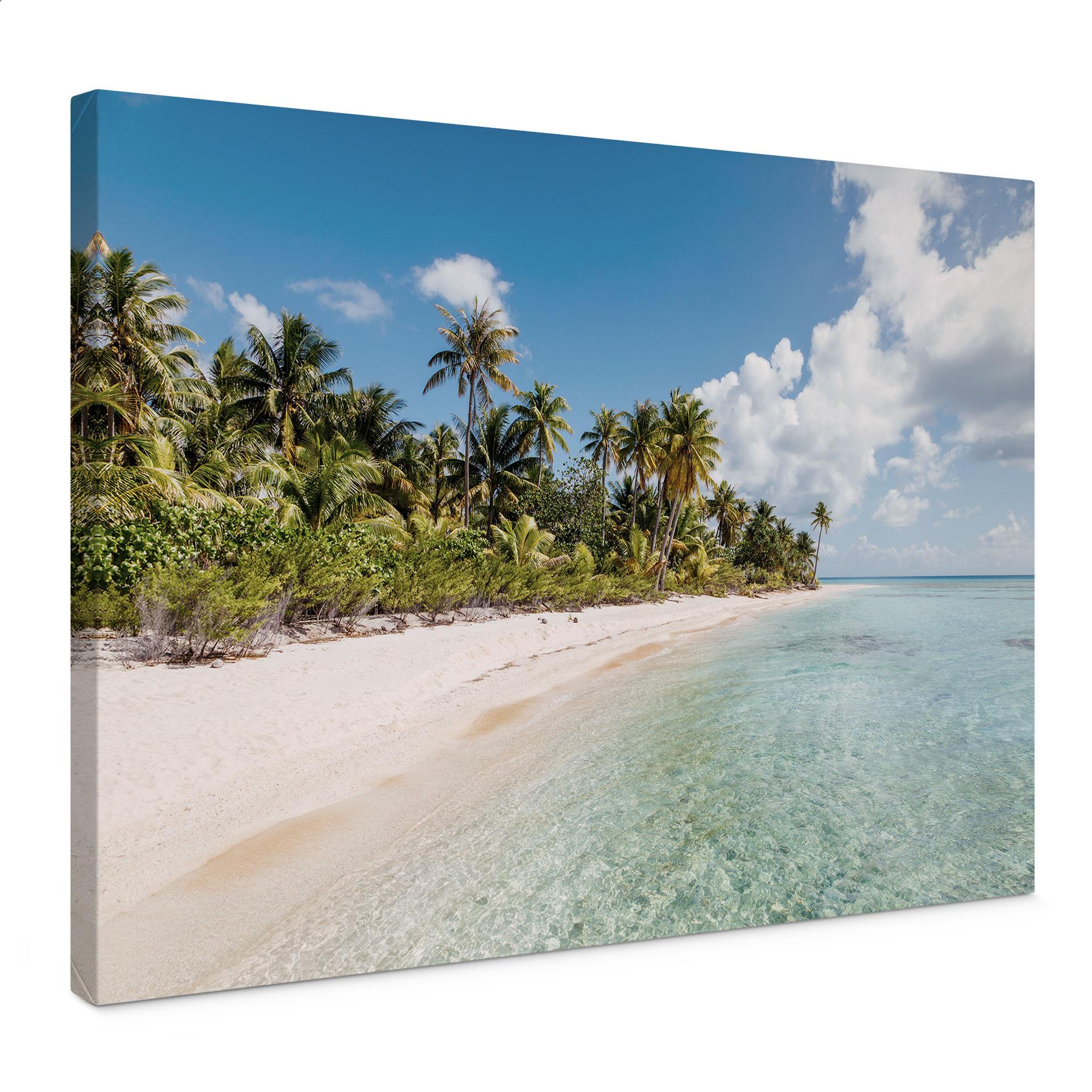 Canvasbillede Palm Beach i Sydhavet - Colombo