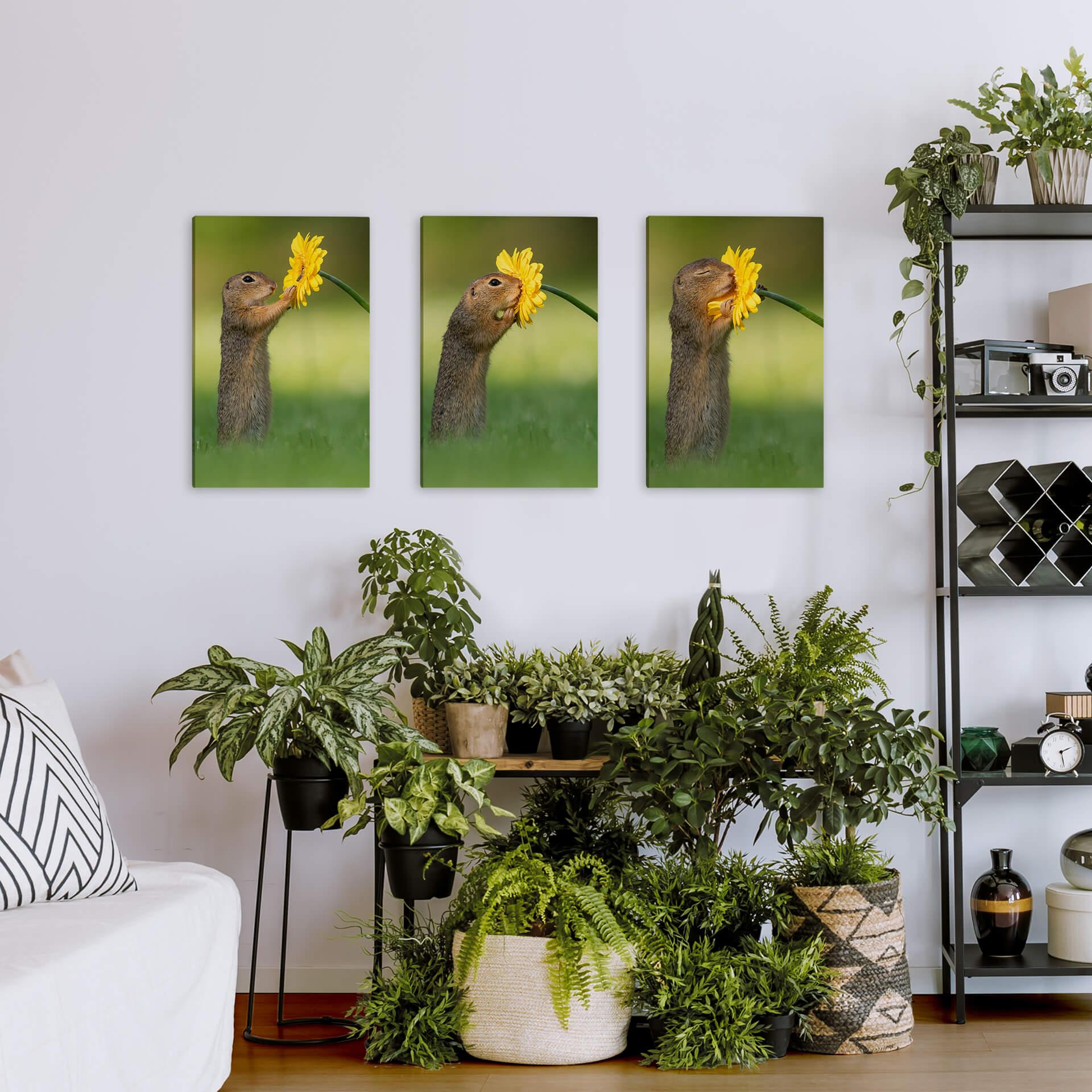 Tableau en toile van Duijn - Un petit écureuil (3 parties)