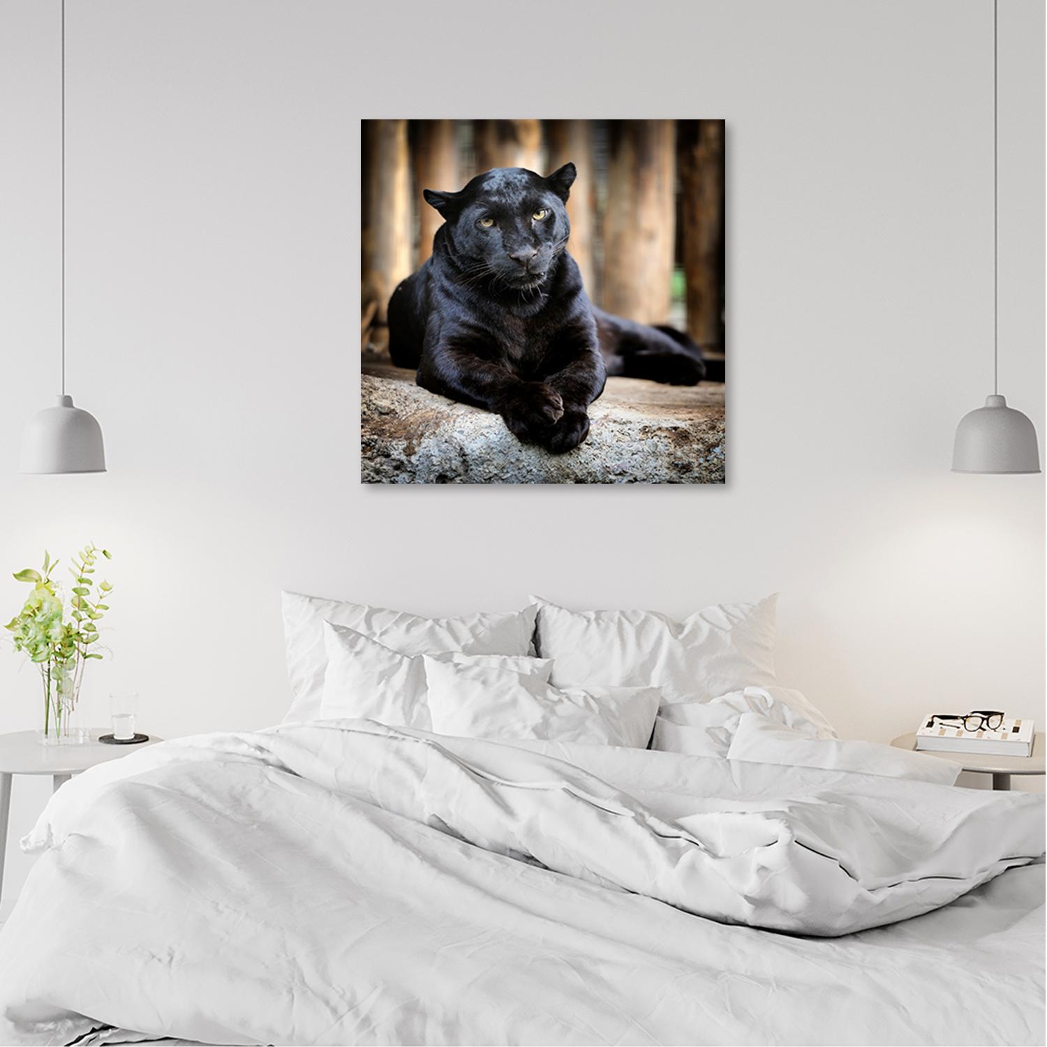 Canvasbillede, Sort panter