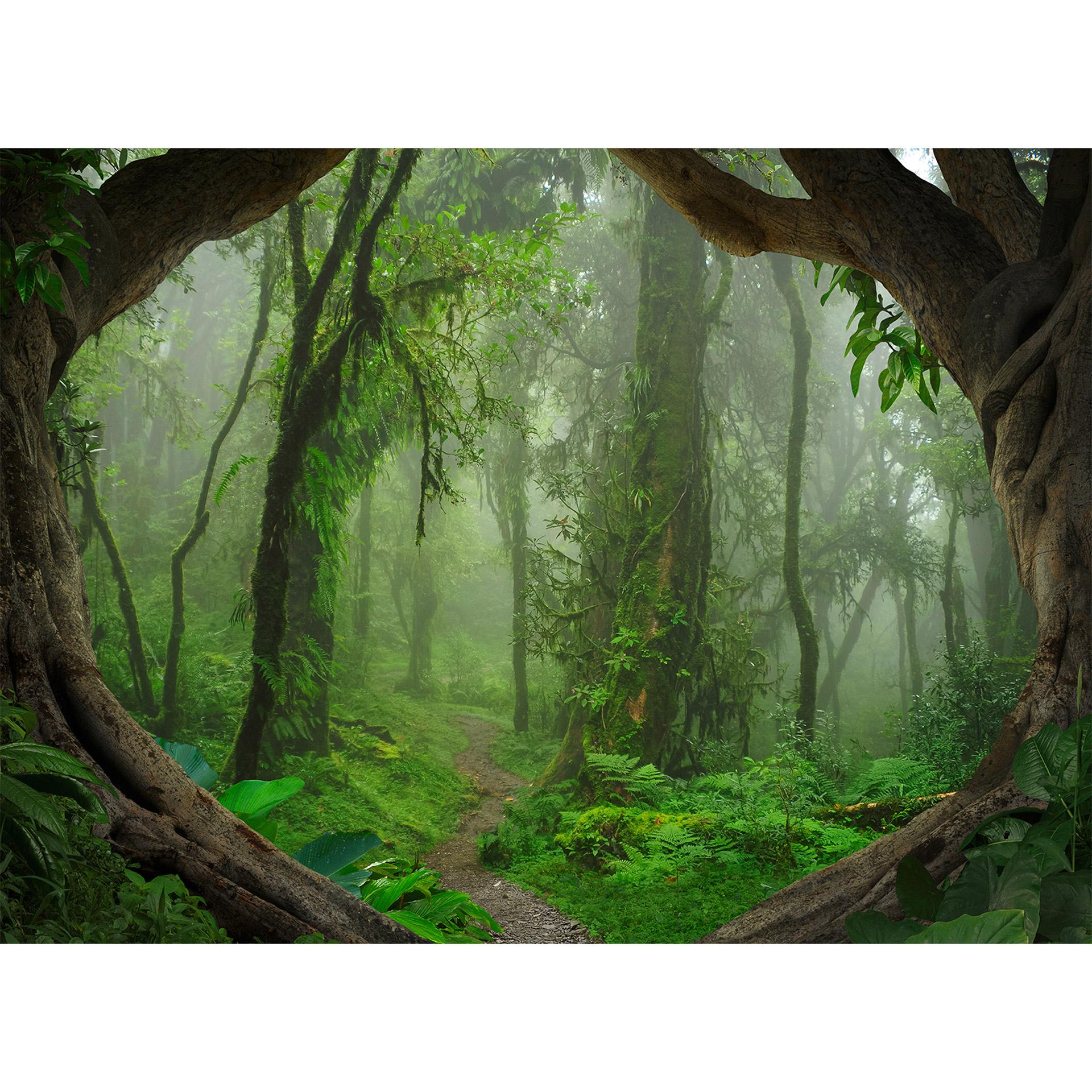 Livingwalls Fotobehang Designwalls Tropical Forest