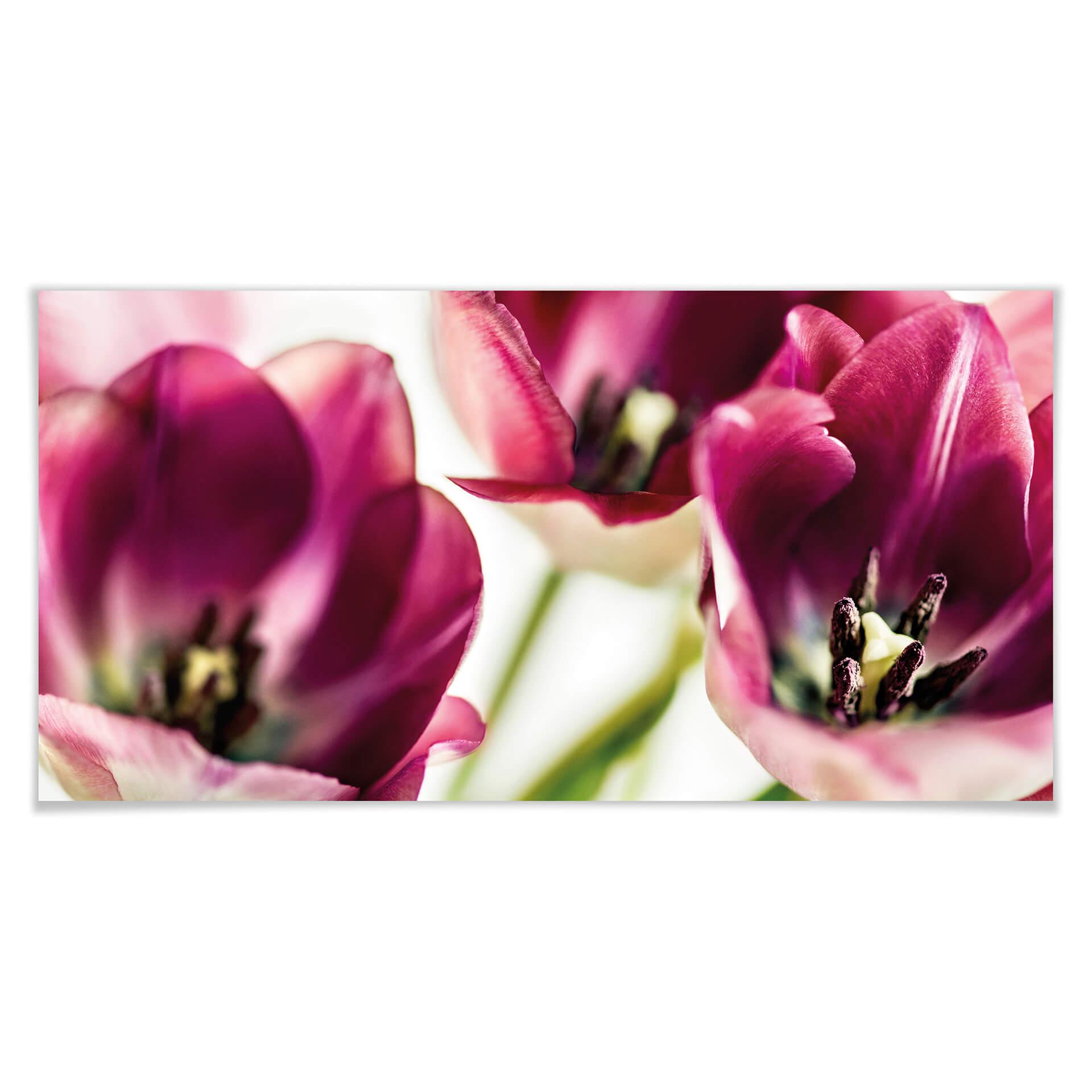 Póster Bsmart - Tulipanes