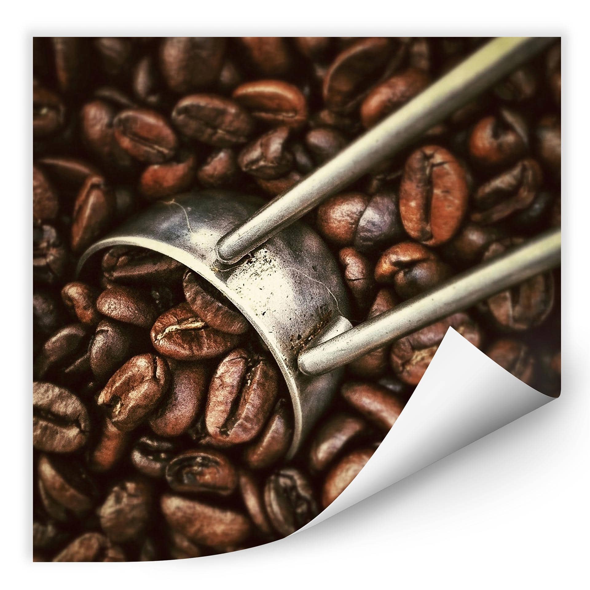 Zelfklevende Poster  - Koffie
