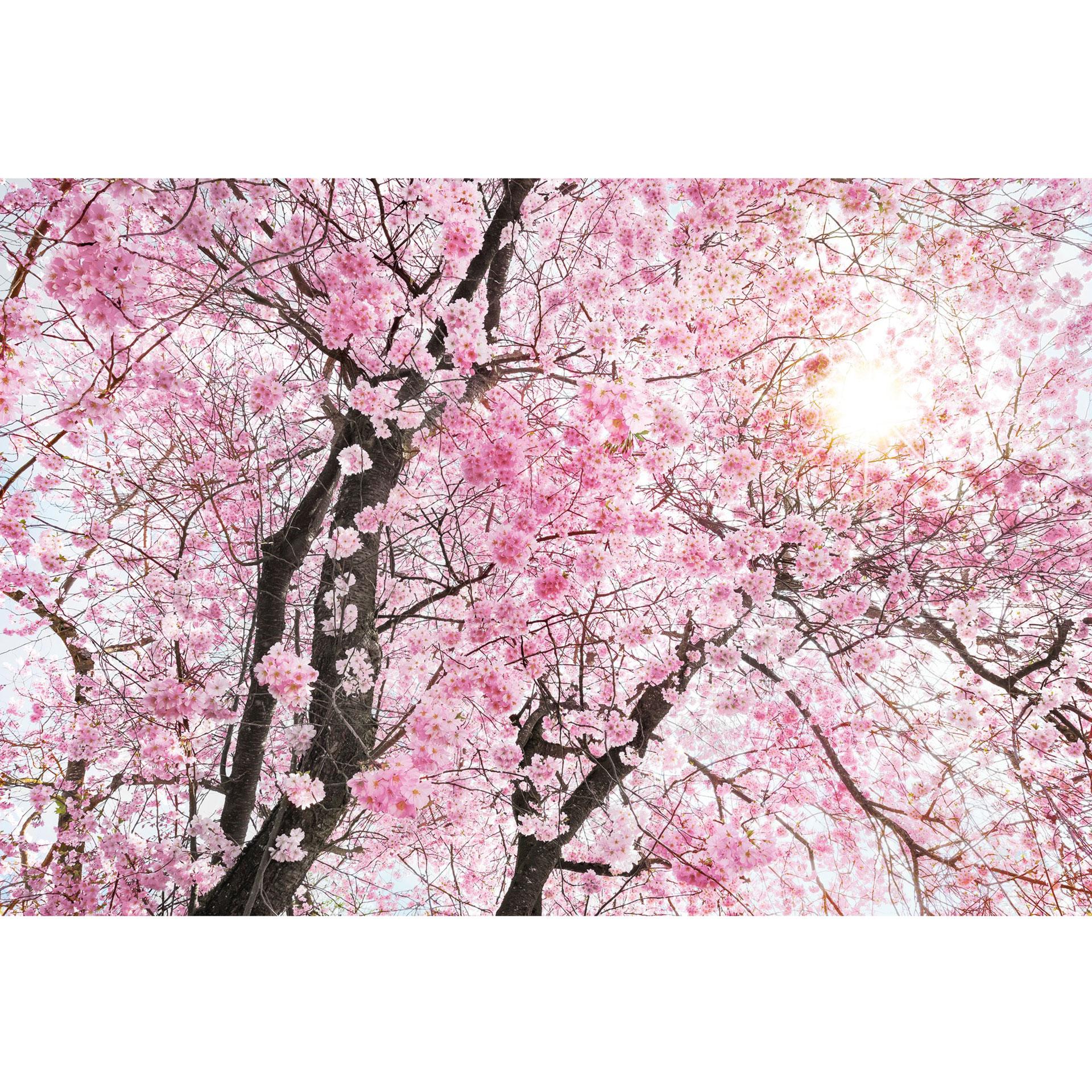 Fotobehang Bloom