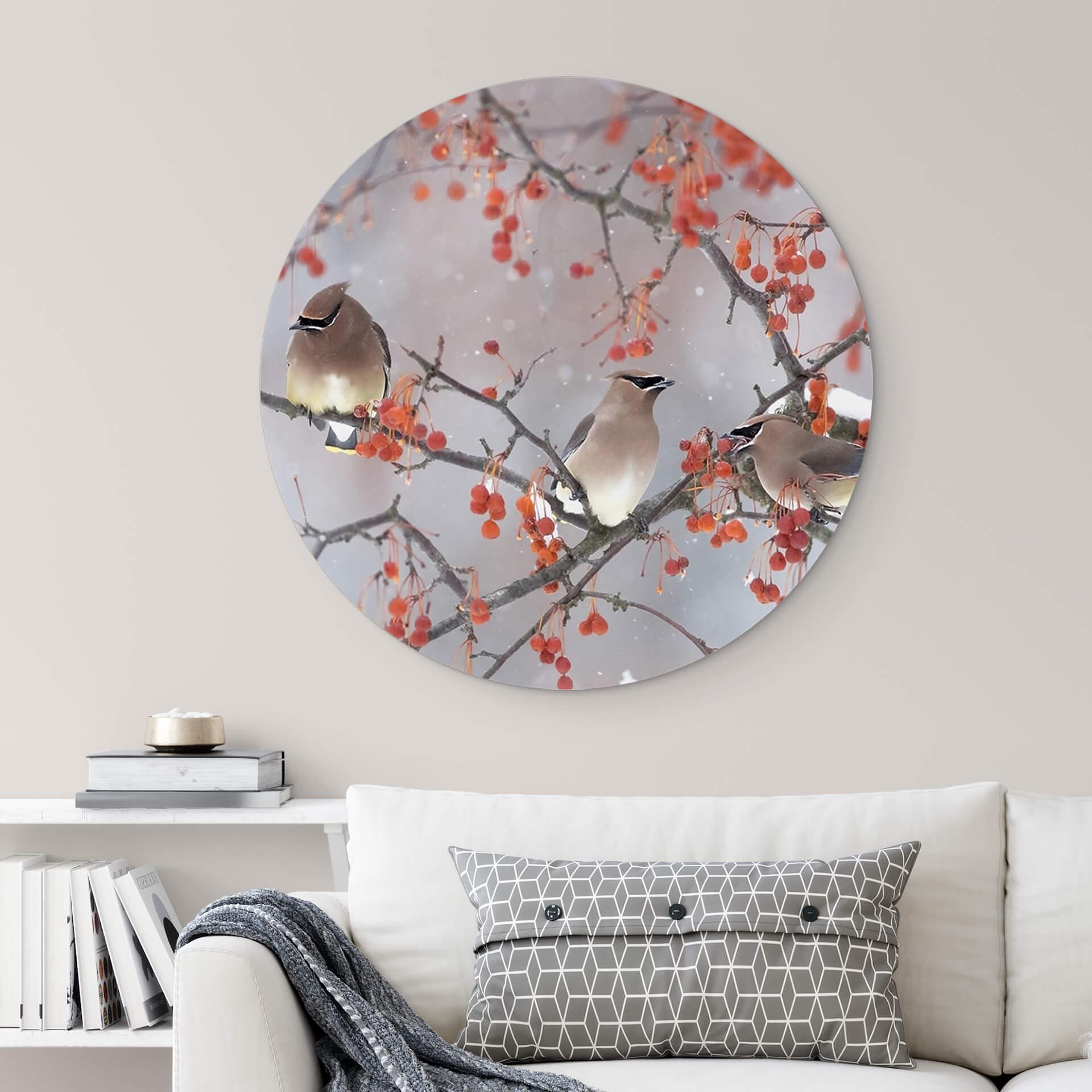 Wandbild Li - Drei Vögel in einer Winterlandschaft - Alu-Dibond Rund