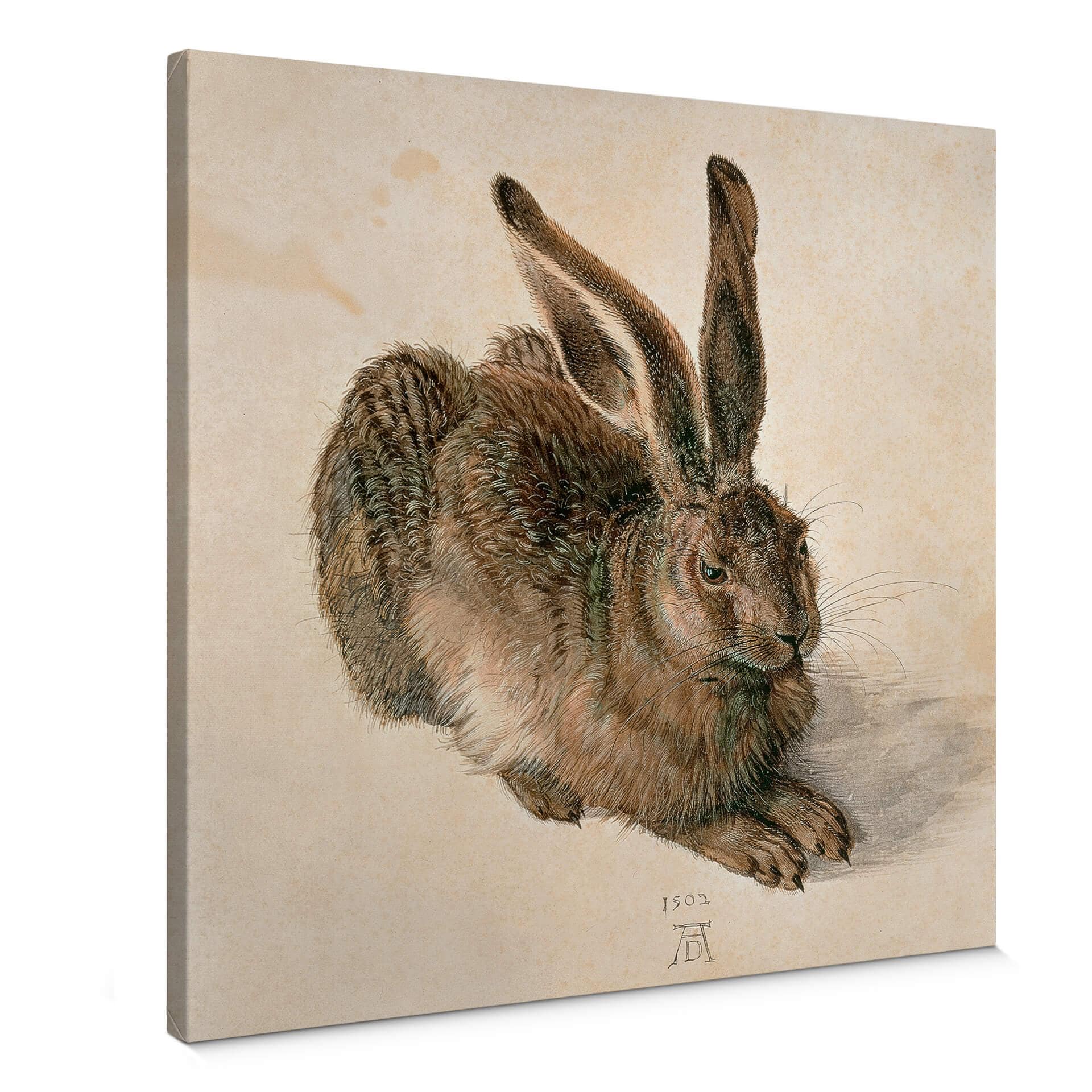 Dürer - Ung hare - Lærredsprint