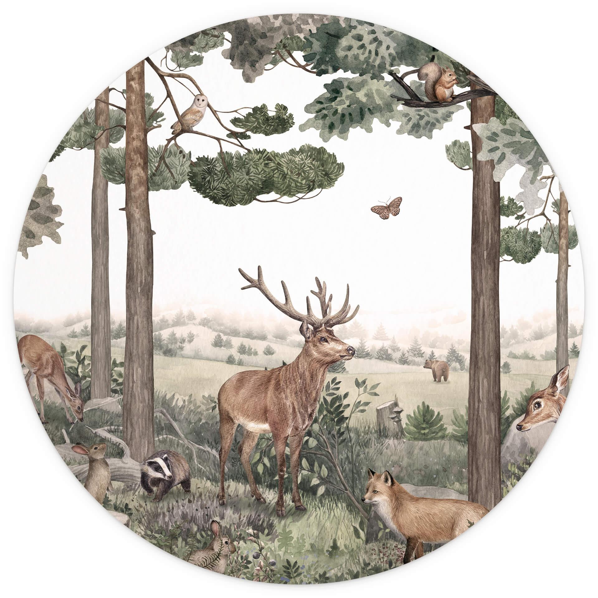 Behangcirkel Kikki Belle - Meeting Forest Animals - vliesbehang/zelfklevend vliesbehang