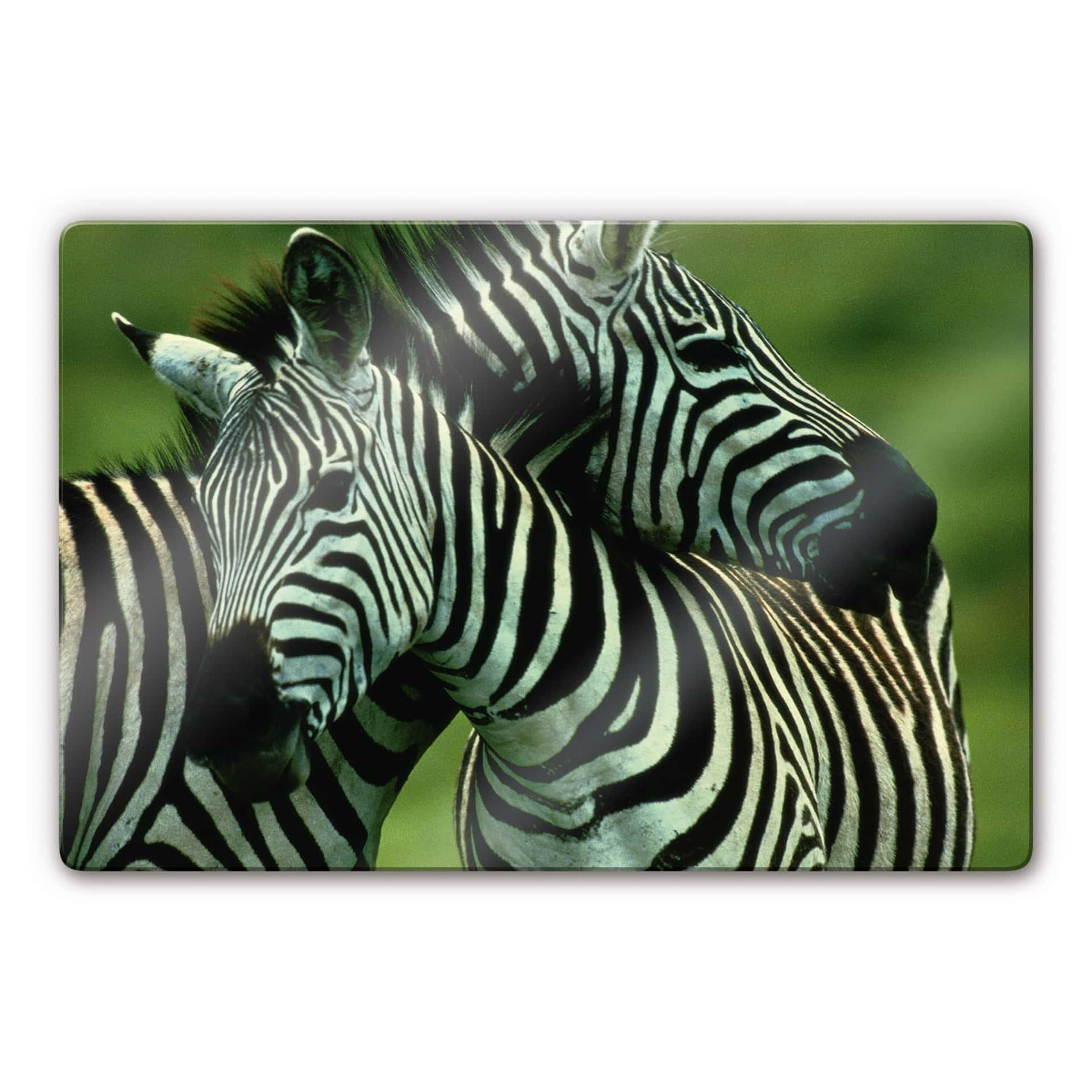 Glasbillede - NG Zebra