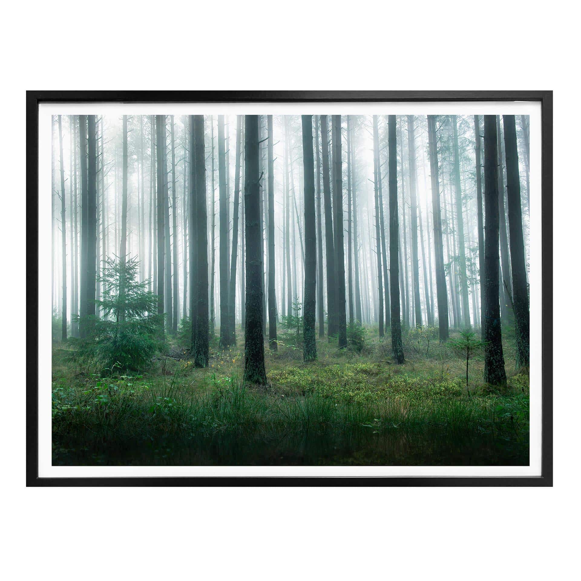 Poster Lindsten - I skogen