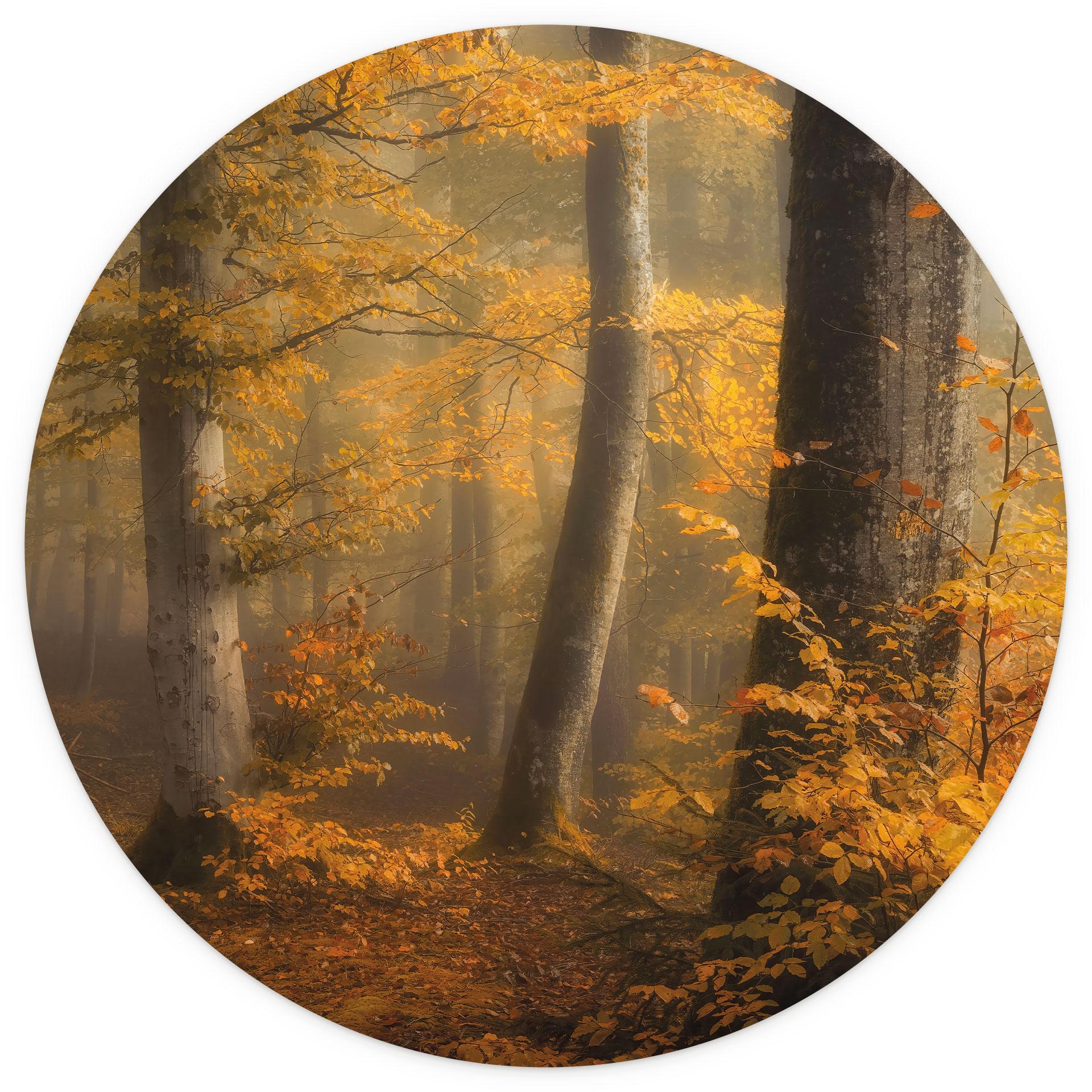 Gouden bladeren in een mistig bos Fotobehang - Maier - Rond - vliesbehang/zelfklevend vliesbehang