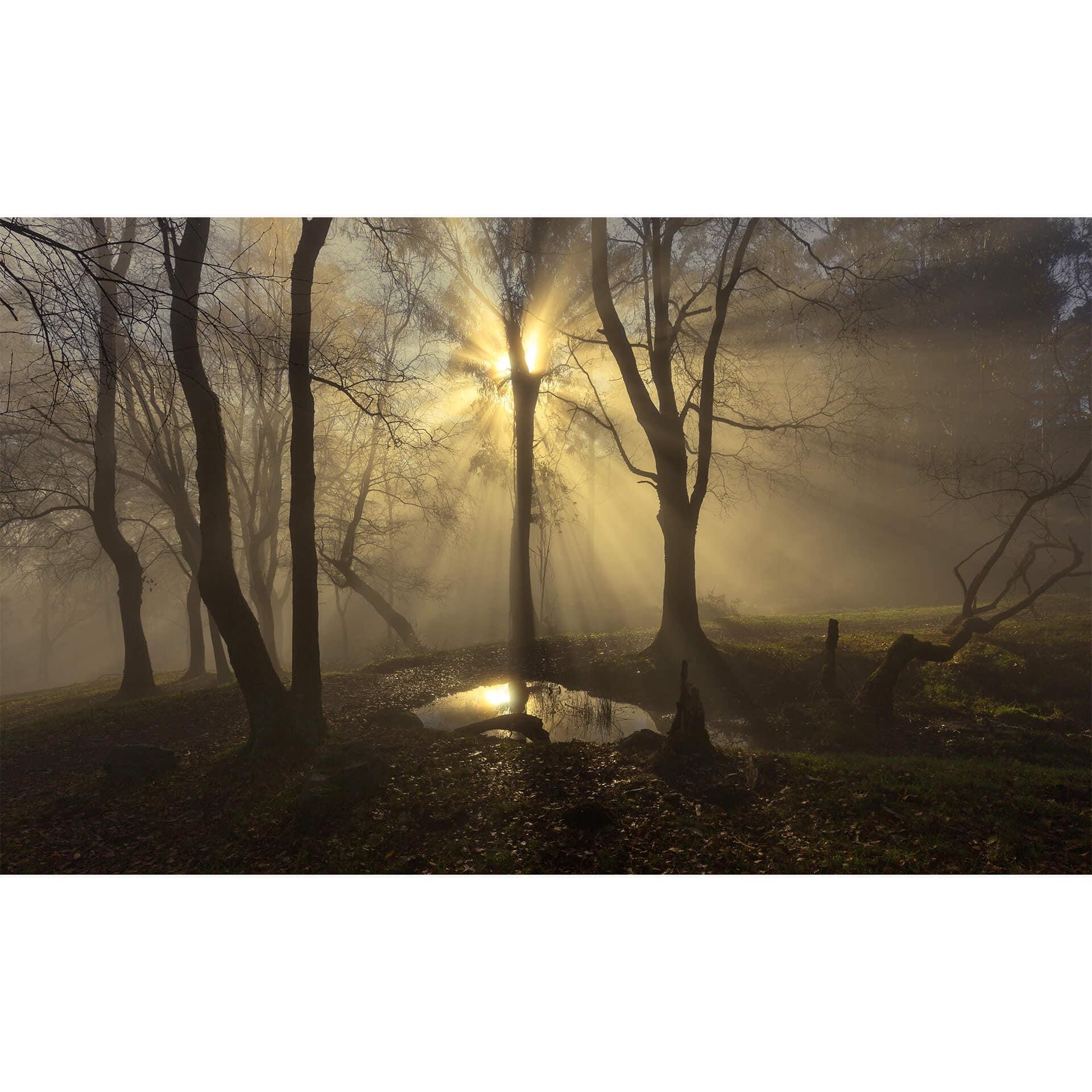 Fotobehang Cuadrado - Light