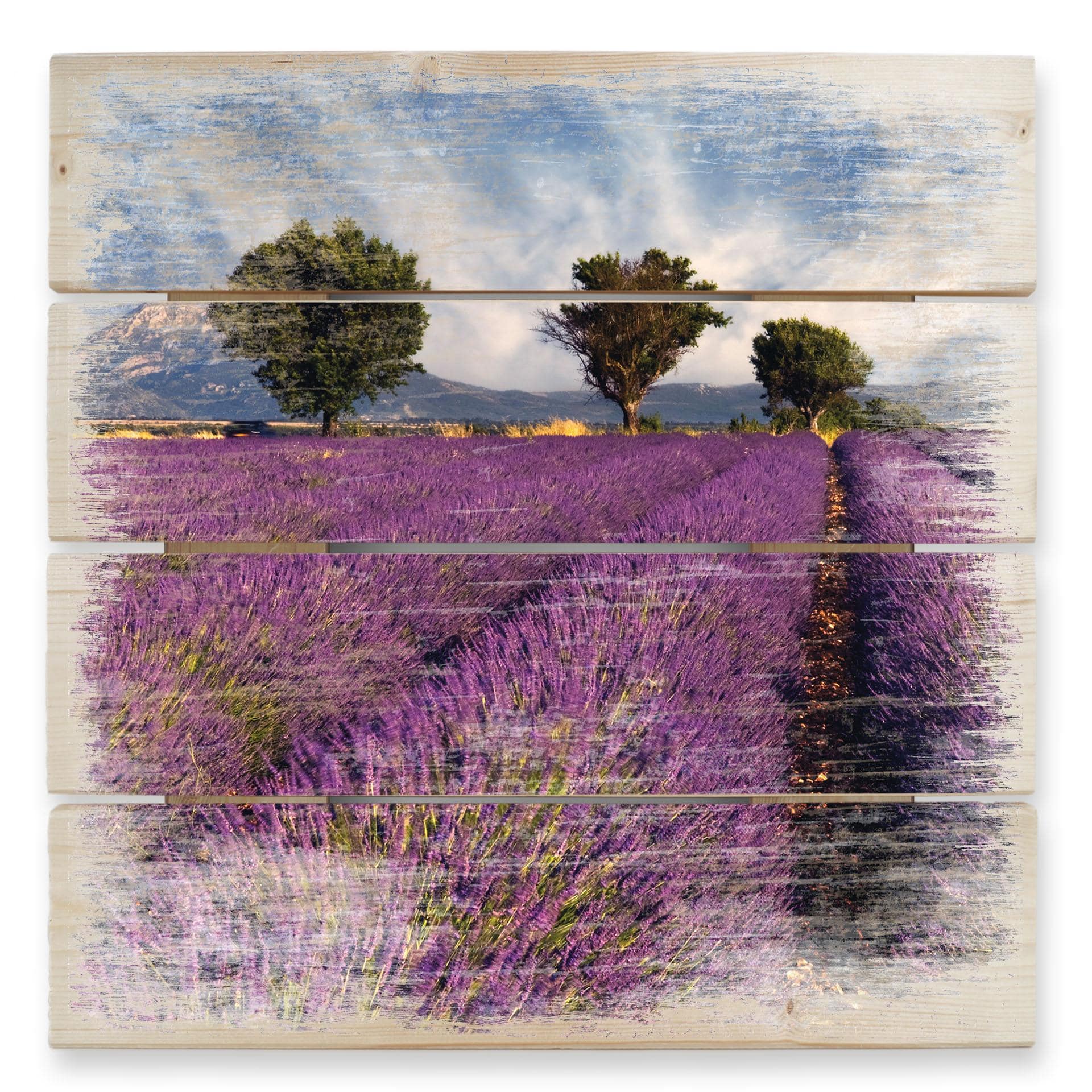Cuadro de madera campo de lavanda - 40x41,5 cm