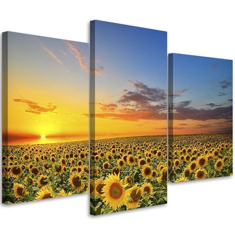3 stykke lærred print, solsikker blomster eng