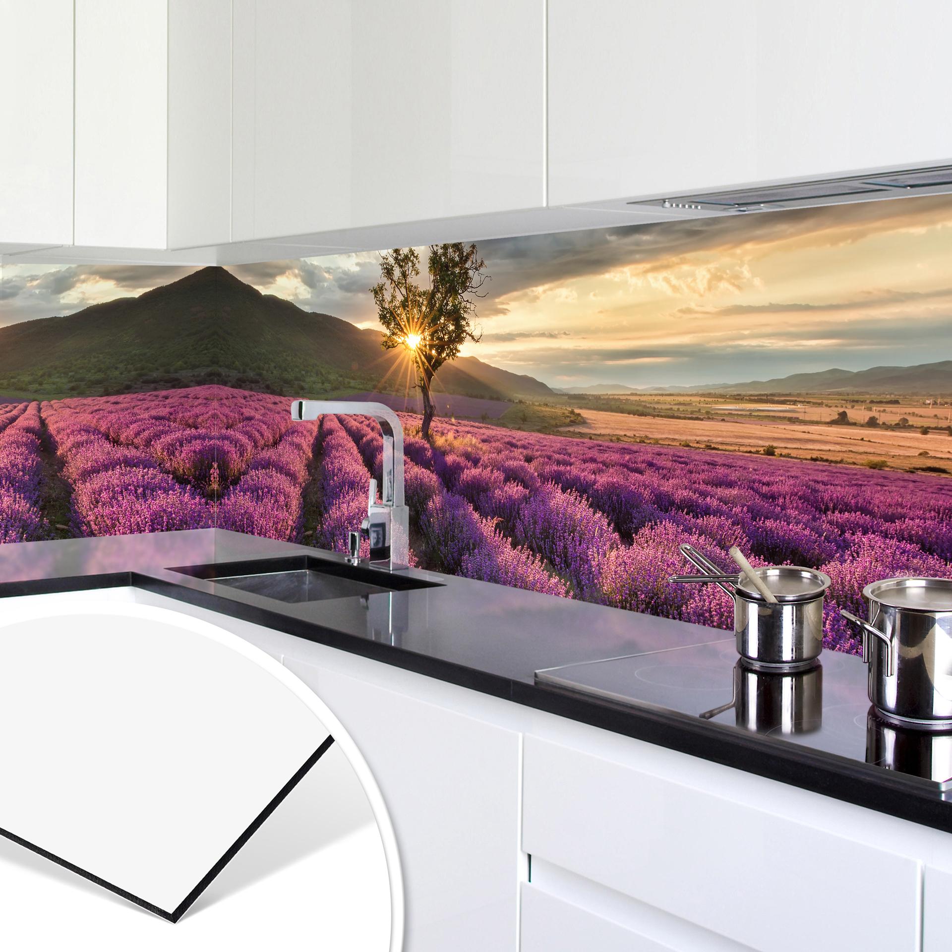 Revêtement pour cuisine - Alu-Dibond - Fleurs de lavande en Provence