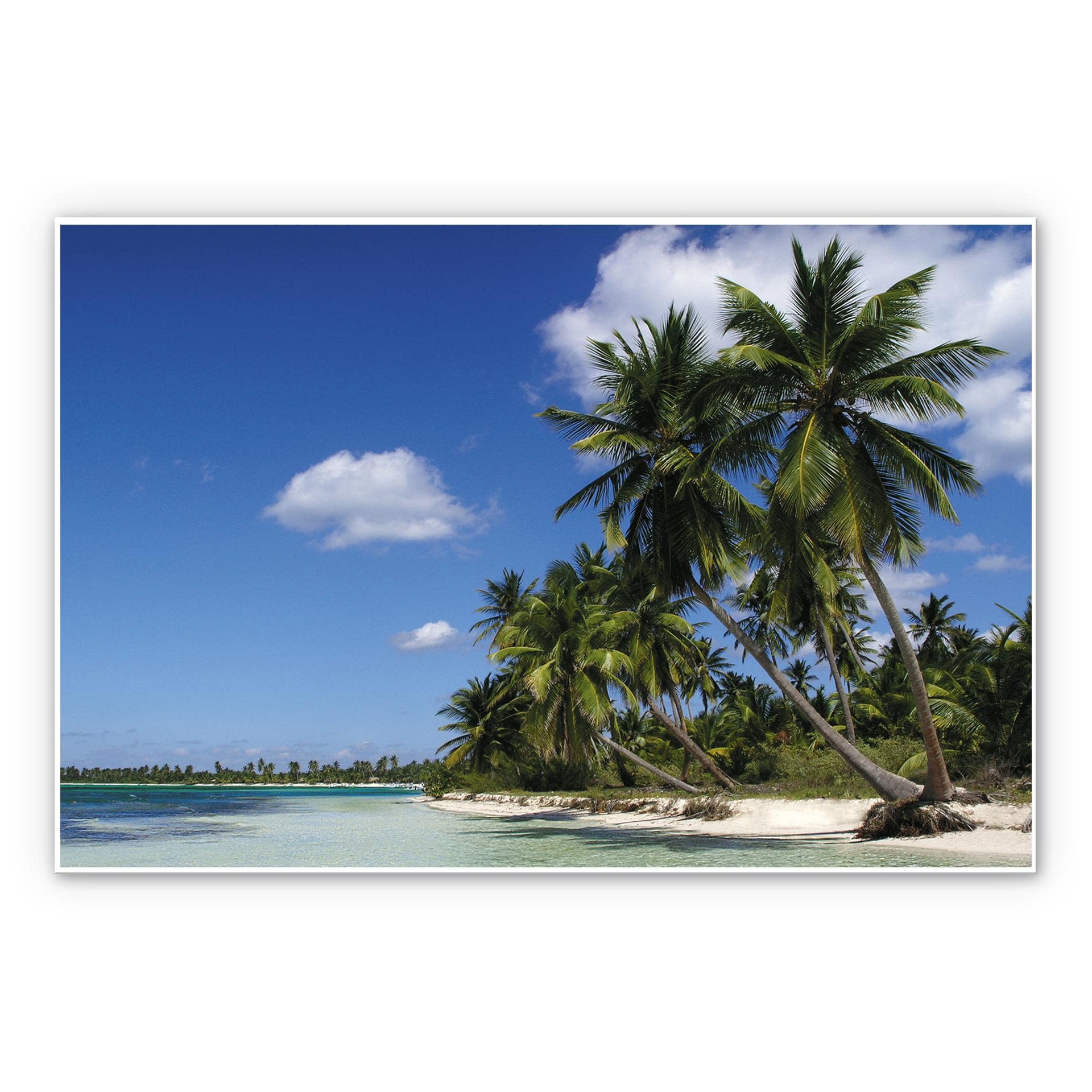 Tableau Forex - Charme des Caraïbes