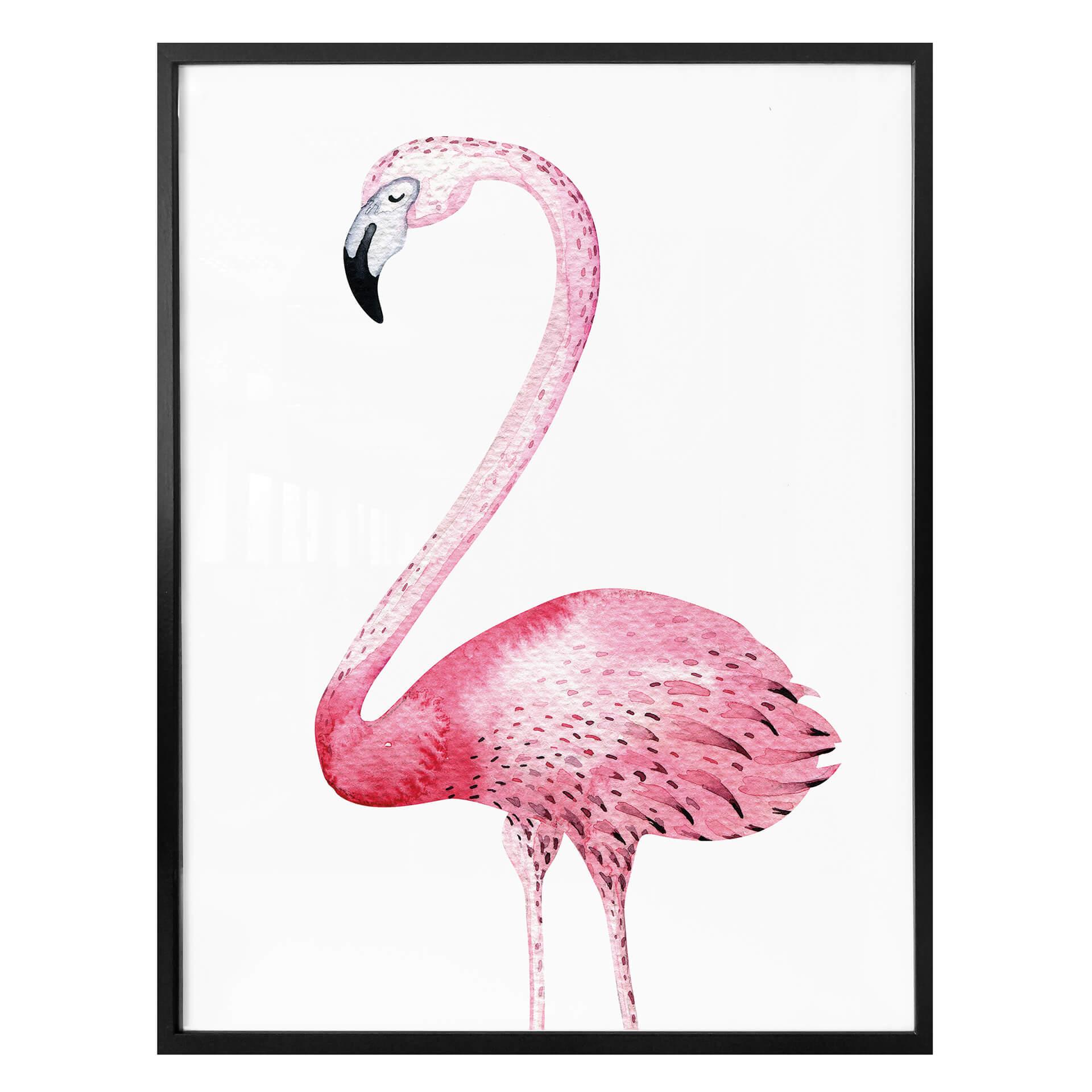 Affiche Kvilis - Flamant rose 01