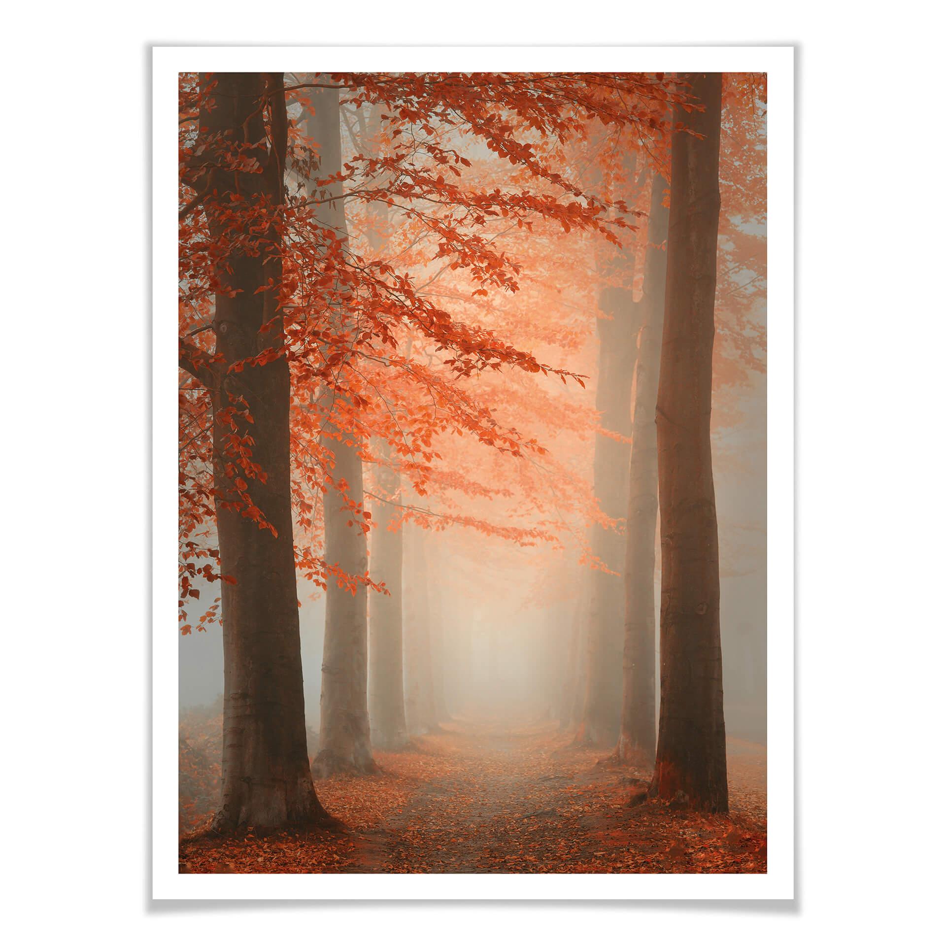 Póster Dingemans - Sueños de otoño