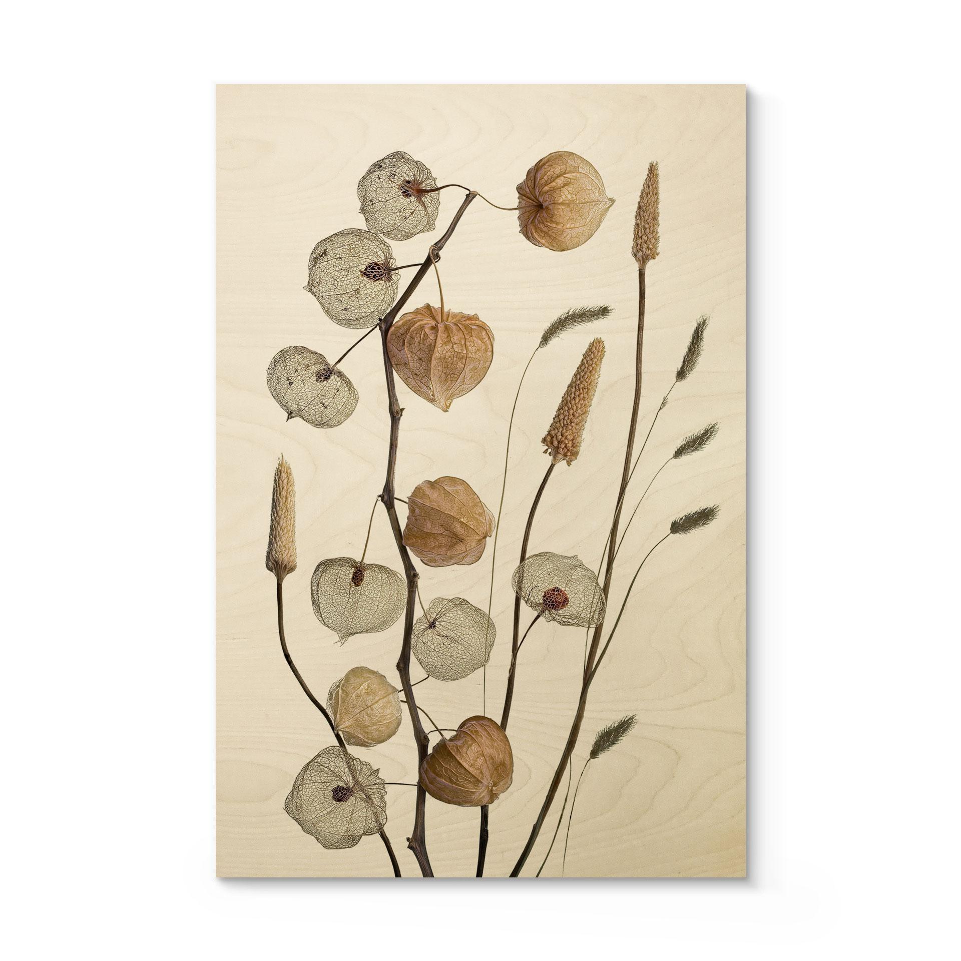 Træplakat Tørrede lanterneblomster - Disher