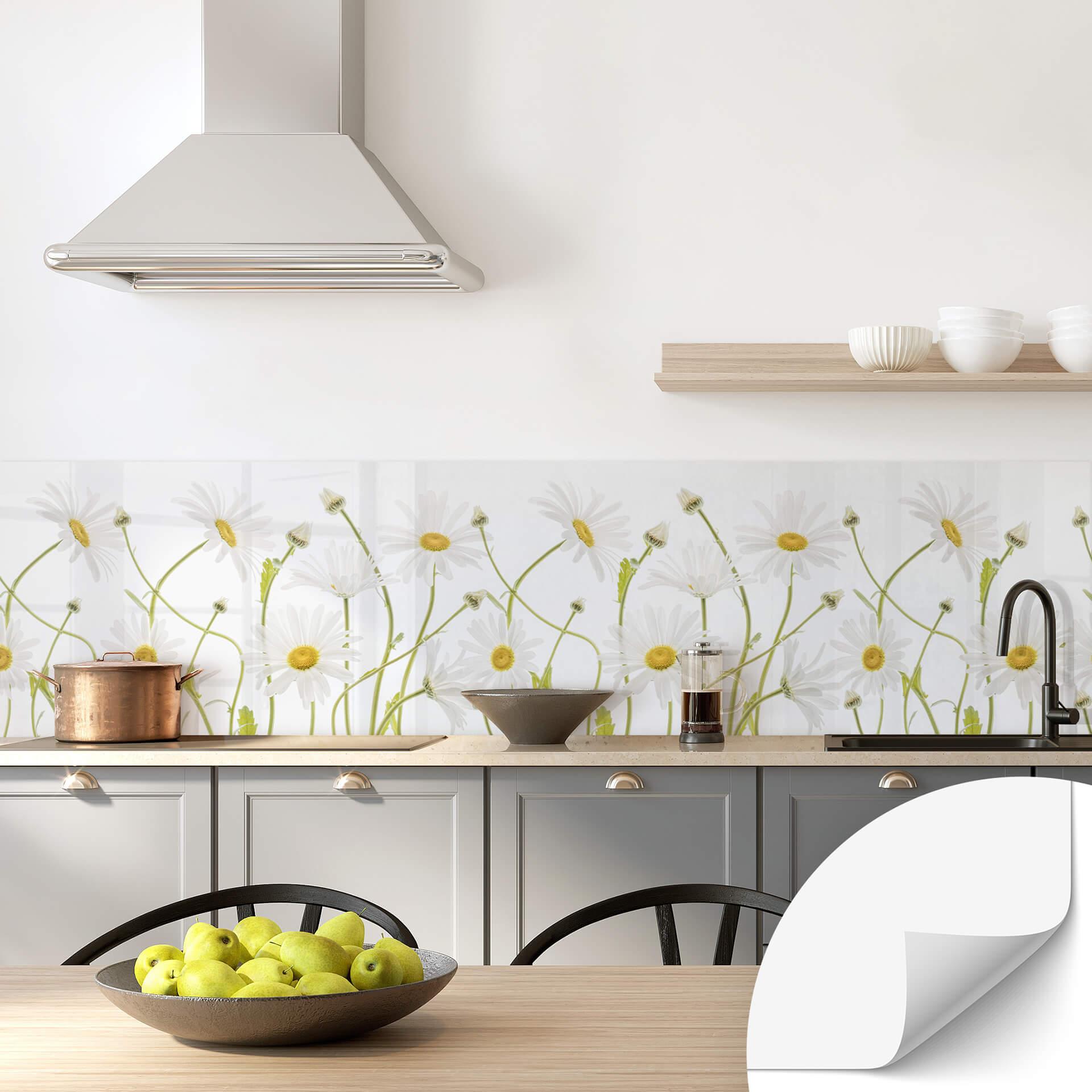 Självhäftande Stänkpanel Disher - Ox eye Daisies