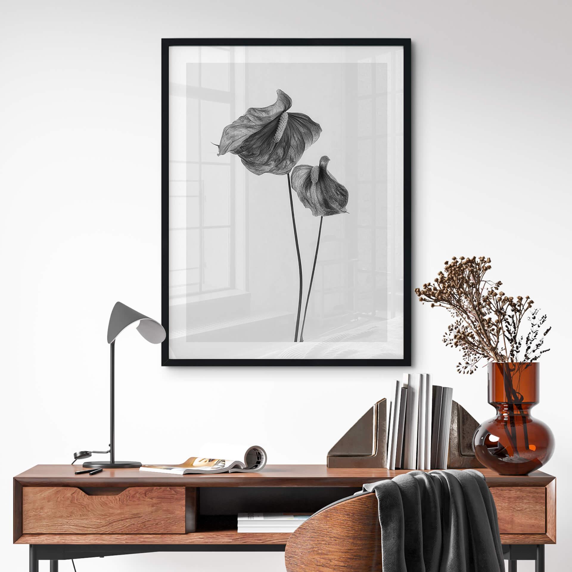 Póster Grønkjær - Anthurium blanco y negro