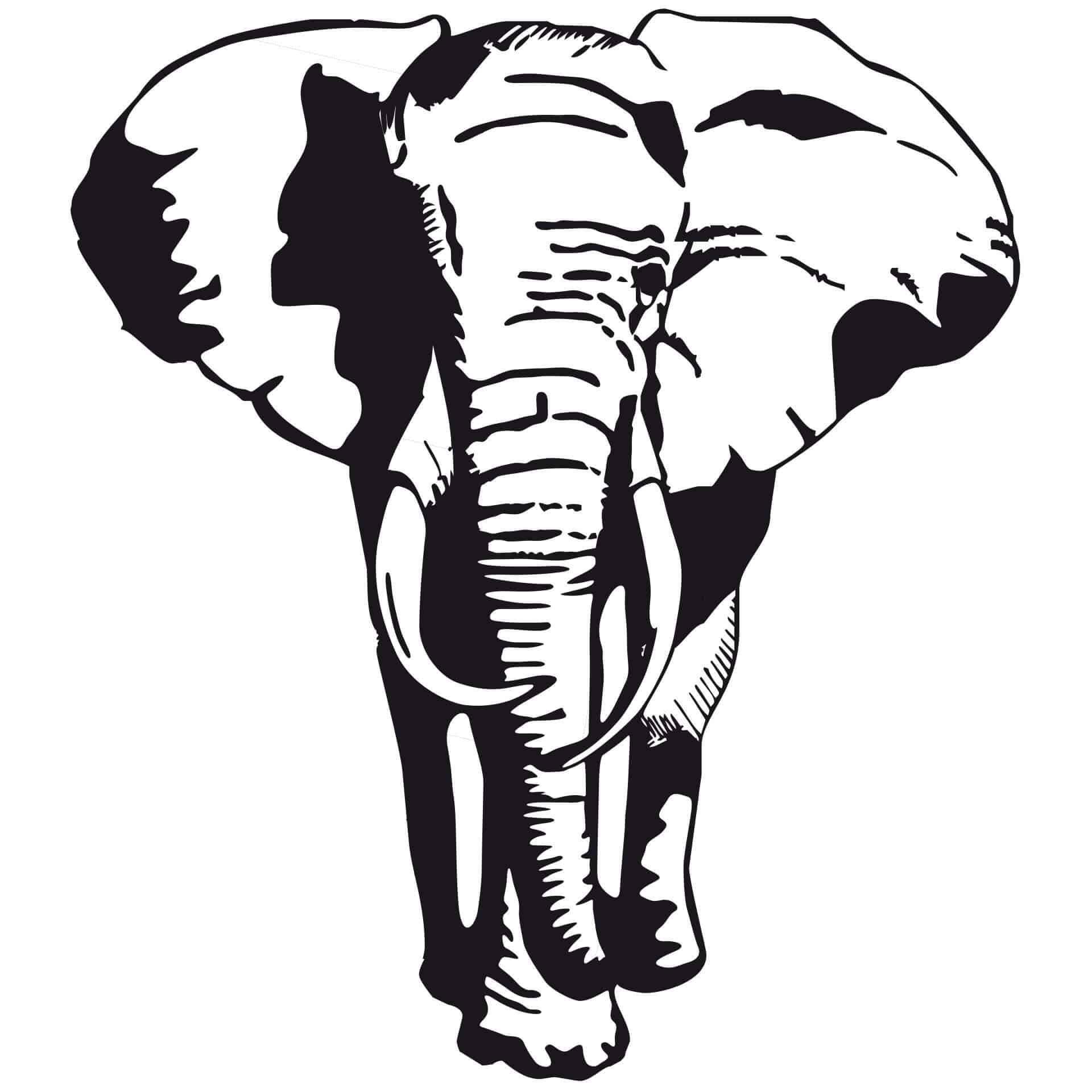 Wandtattoo Afrikanischer Elefant