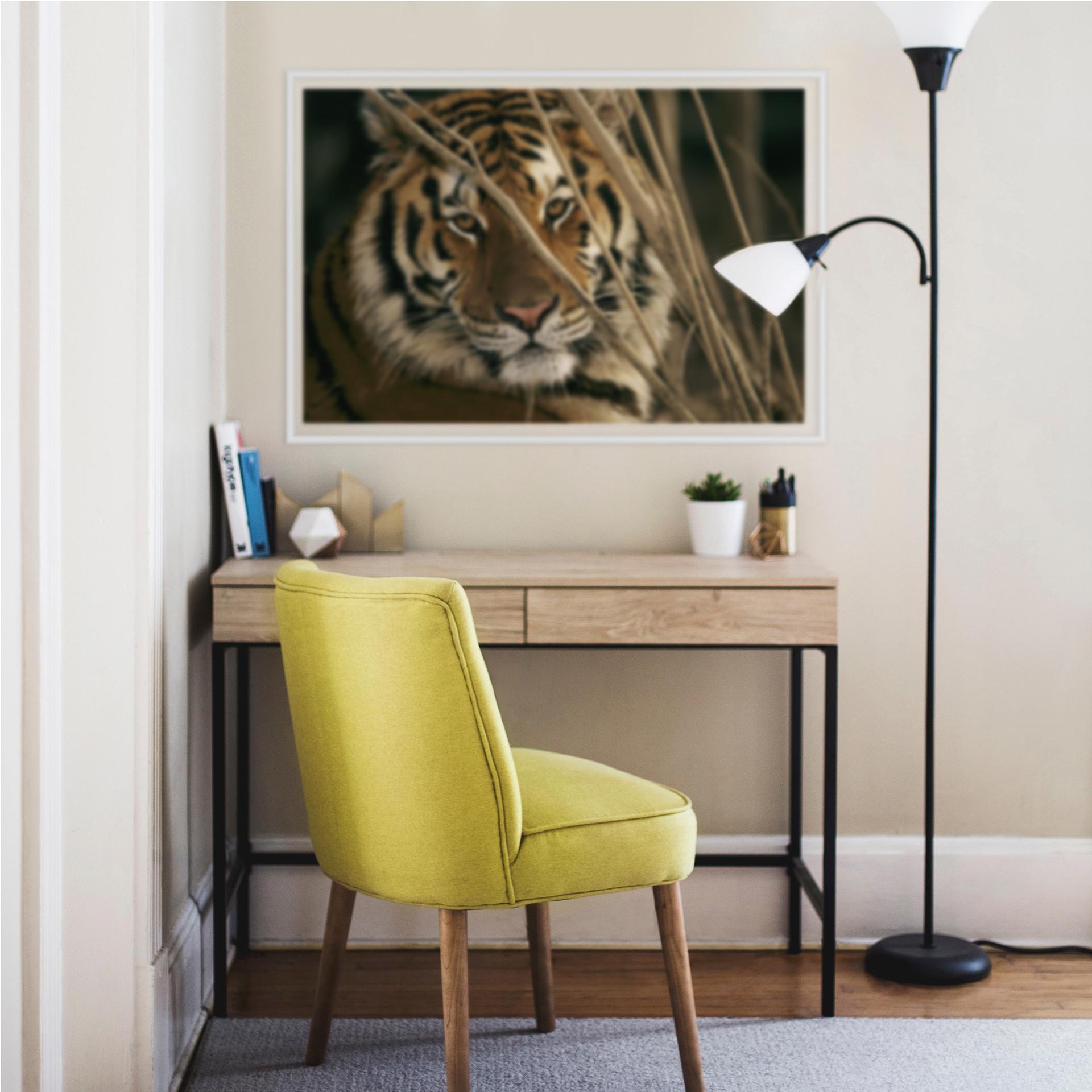 Muurprints National Geographic Tijger