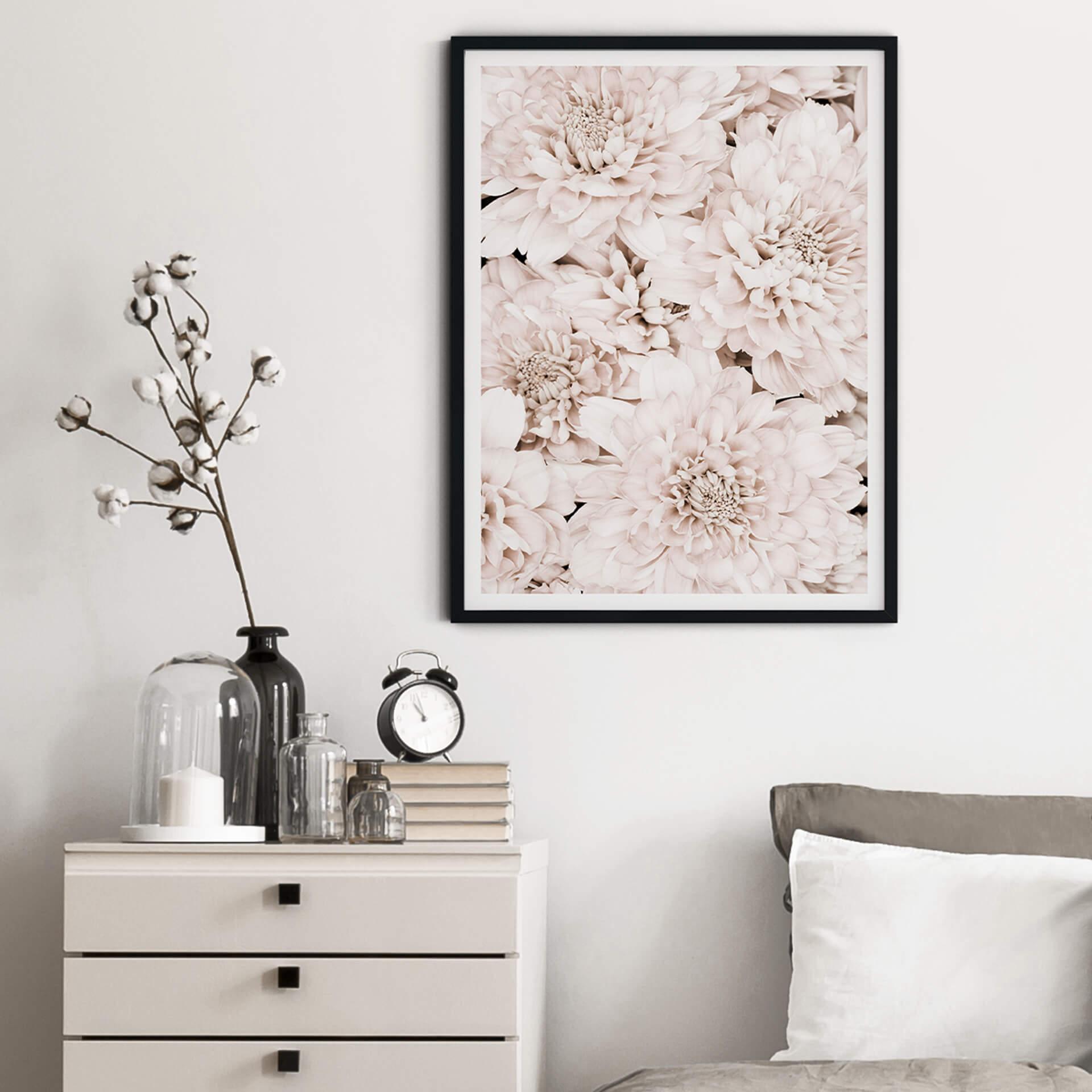 Póster 1X Estudio - Aster Apricot