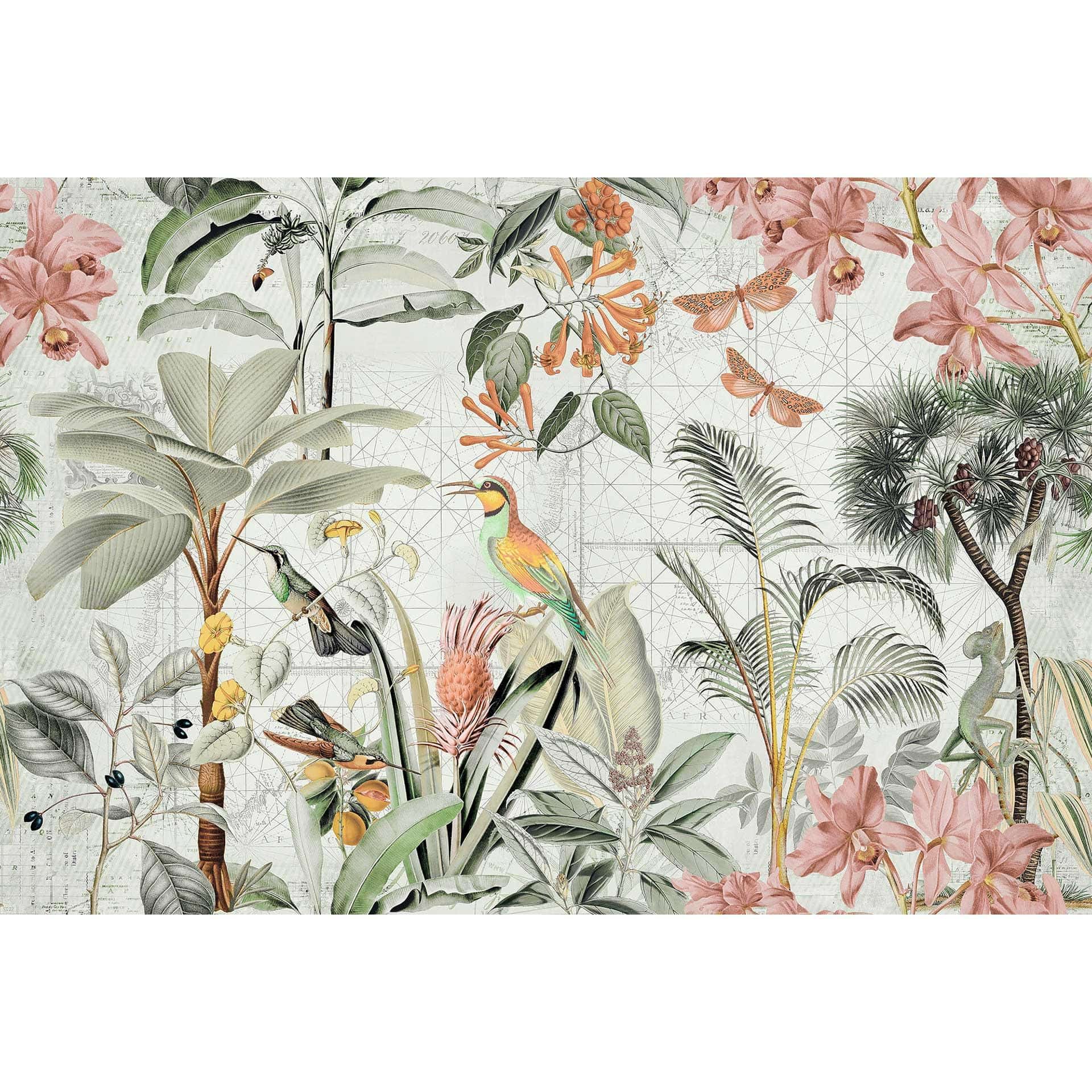 Livingwalls papier peint photo ARTist Tropical Paradise Oiseaux de la jungle et papillons crème