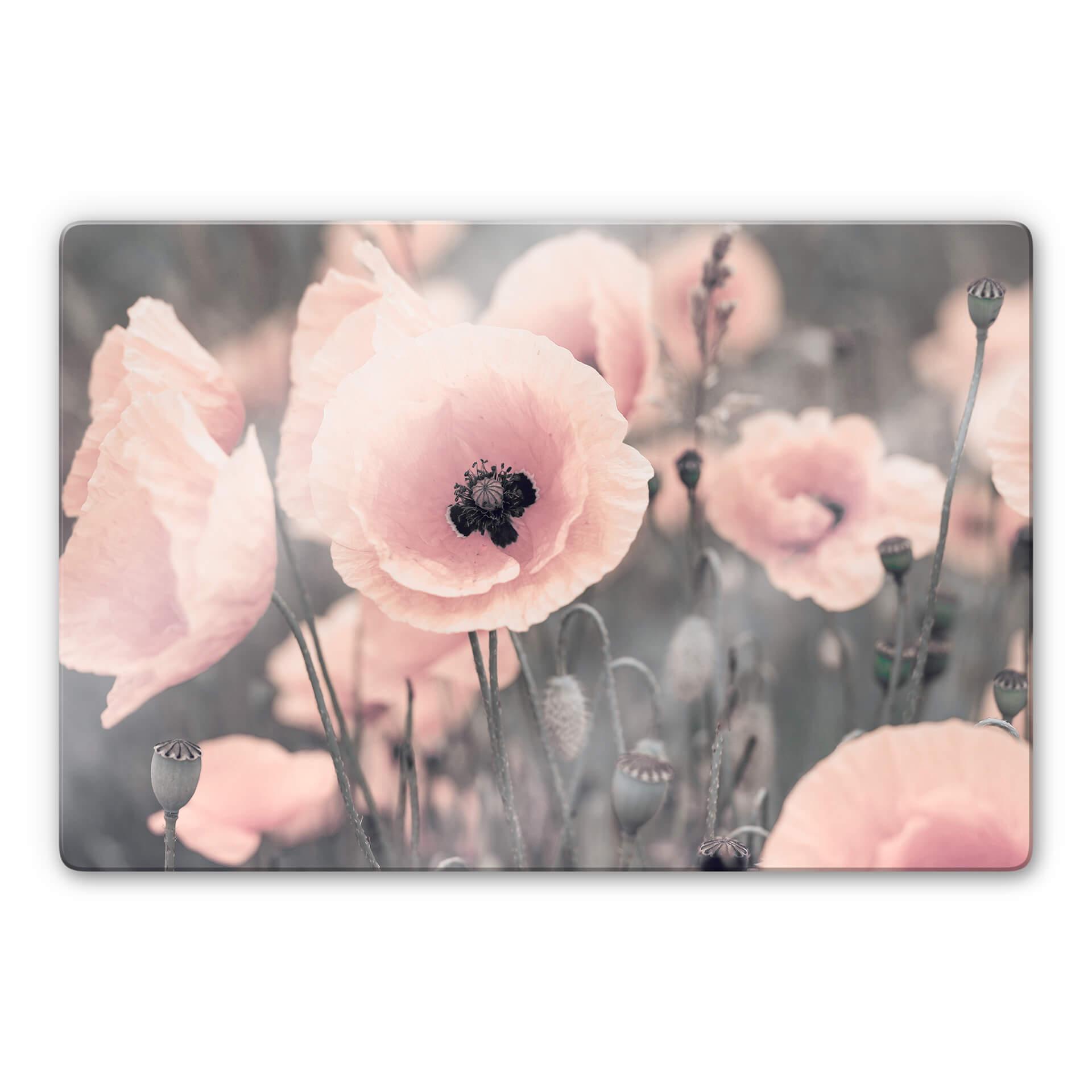 Tableau en verre Delgado - Coquelicot rose