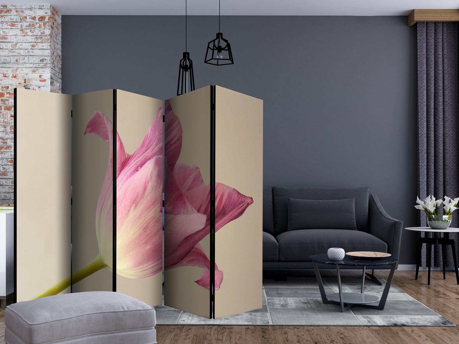 Schermo divisorio - Orchidea rosa, 5 pezzi - 225x172 cm