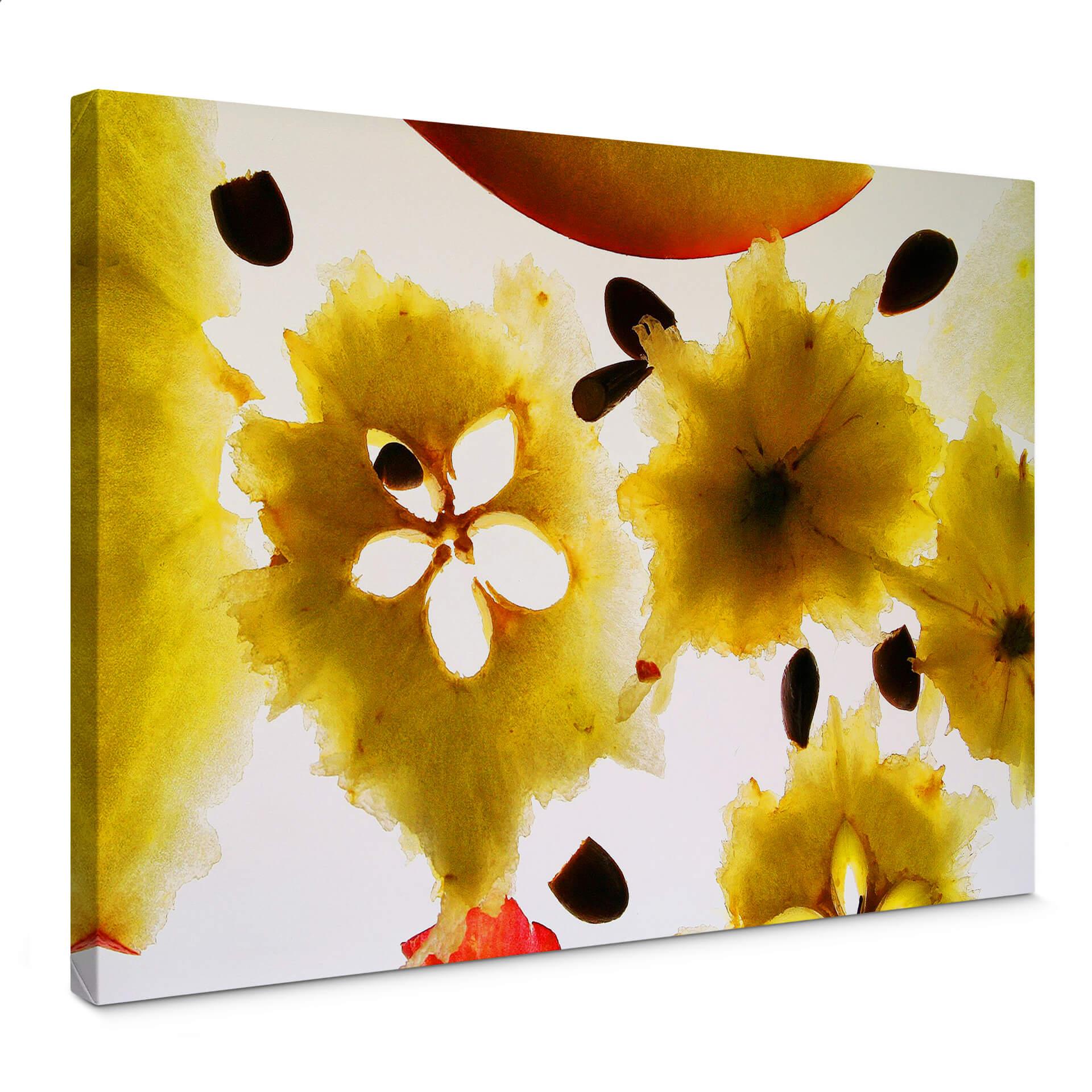 Lienzo Frutas Abstractas