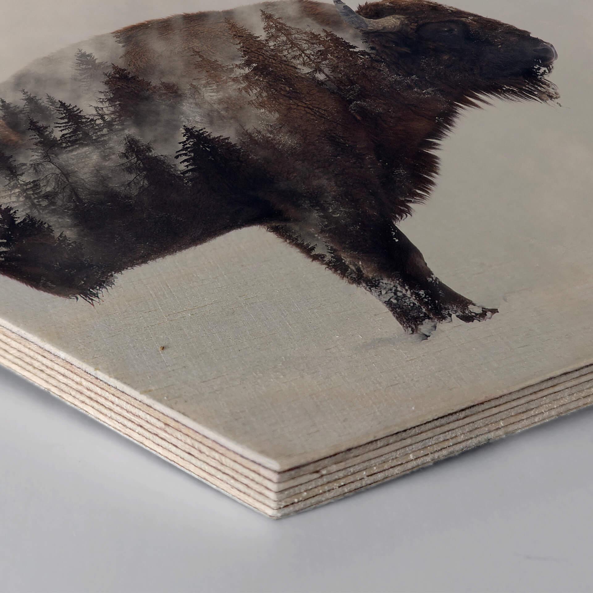 Hexagon Hout - Beáta - Bison