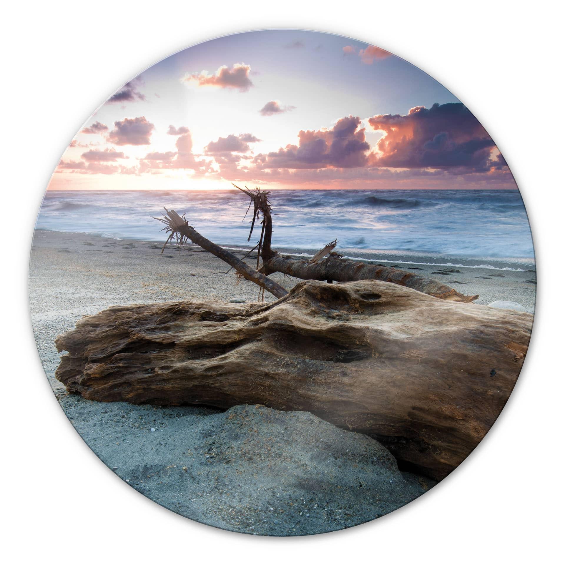 Tableau en verre - Vieux tronc d'arbre - Rond