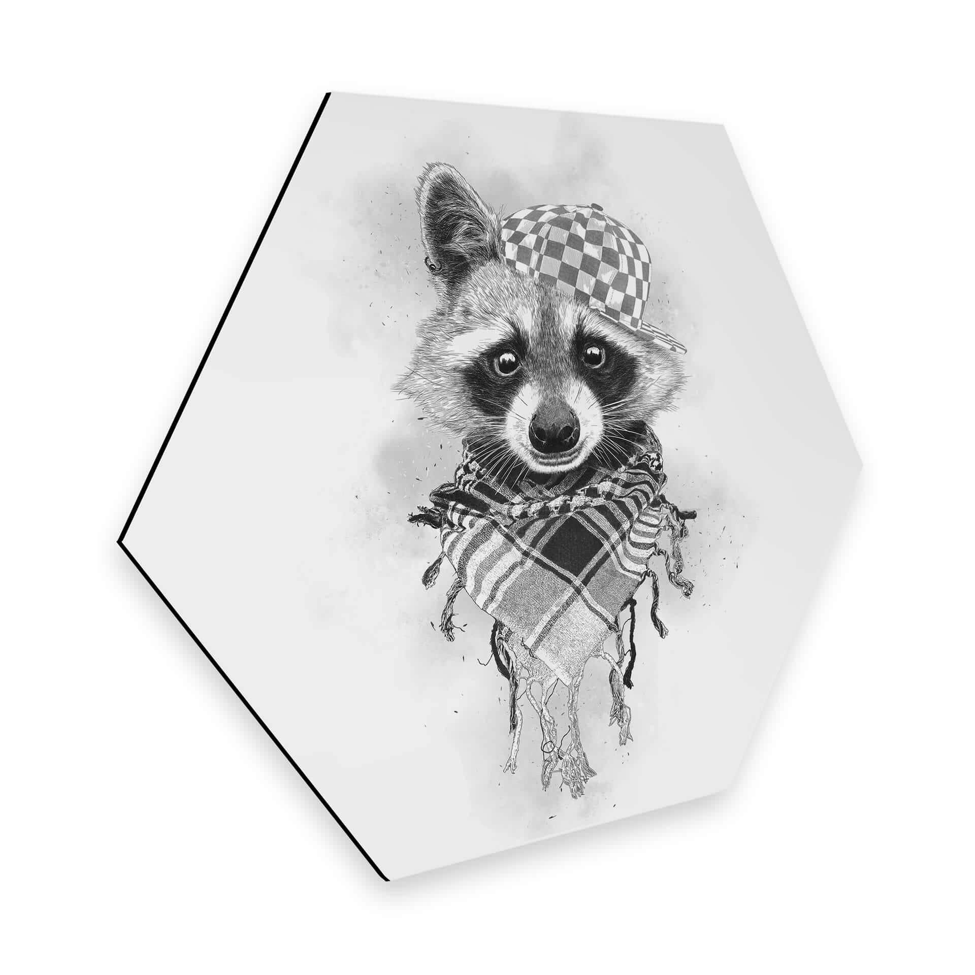 Hexagon - Alu-Dibond Kools - Rocco Racoon