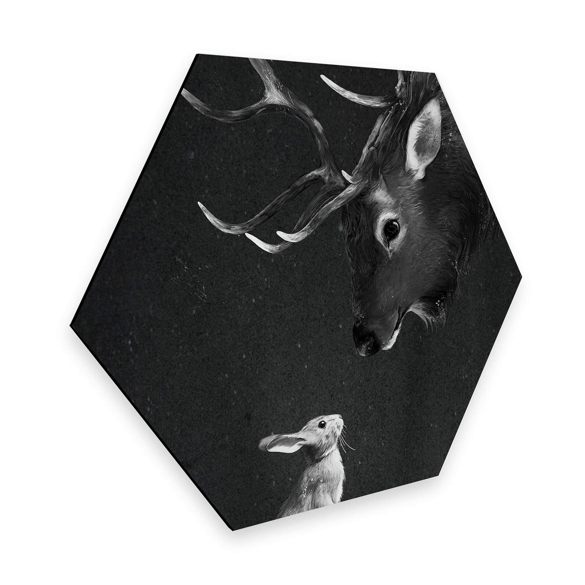 Hexagone -Alu Dibond Graves - Cerf et lapin
