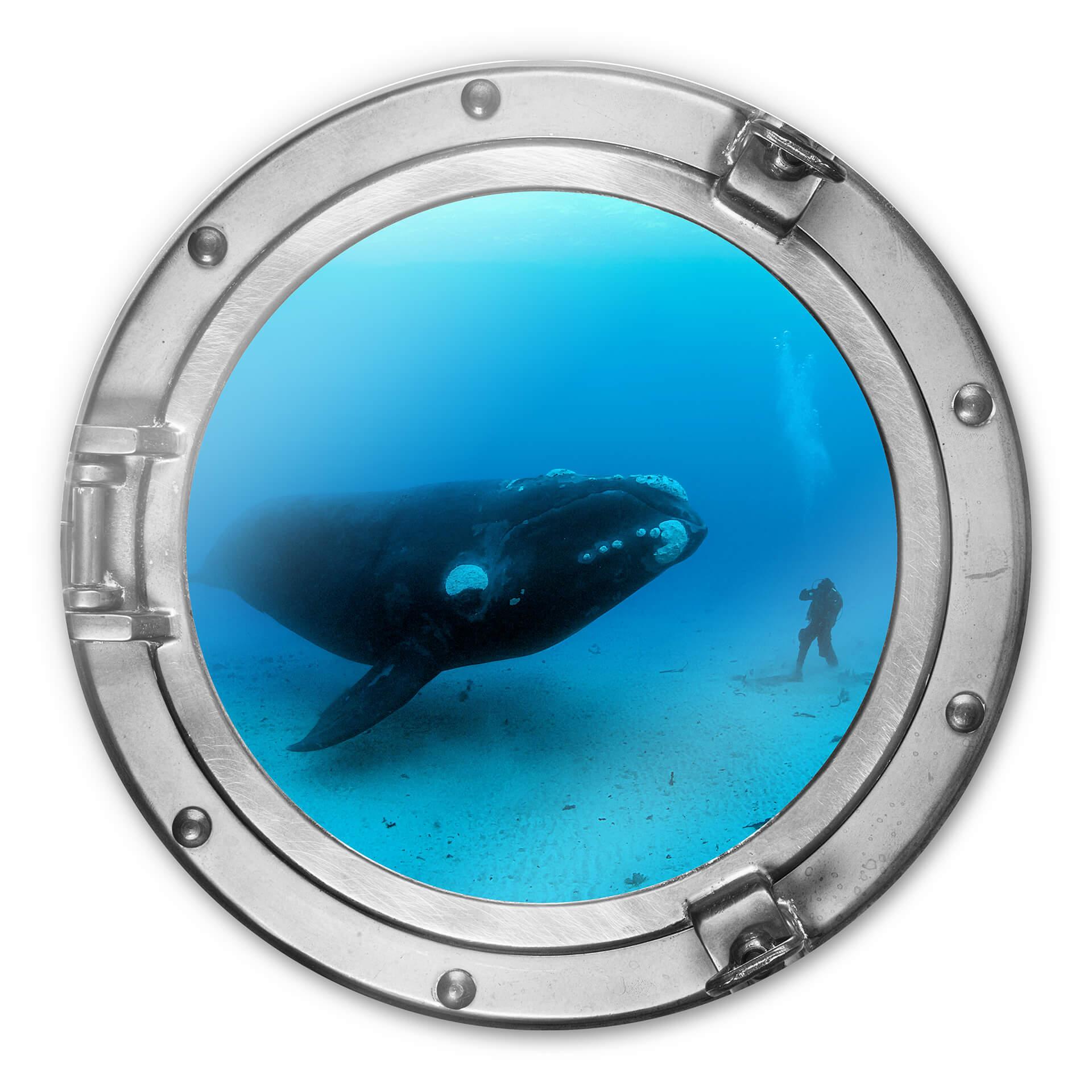 Glasschilderij rond National Geographic - Whale
