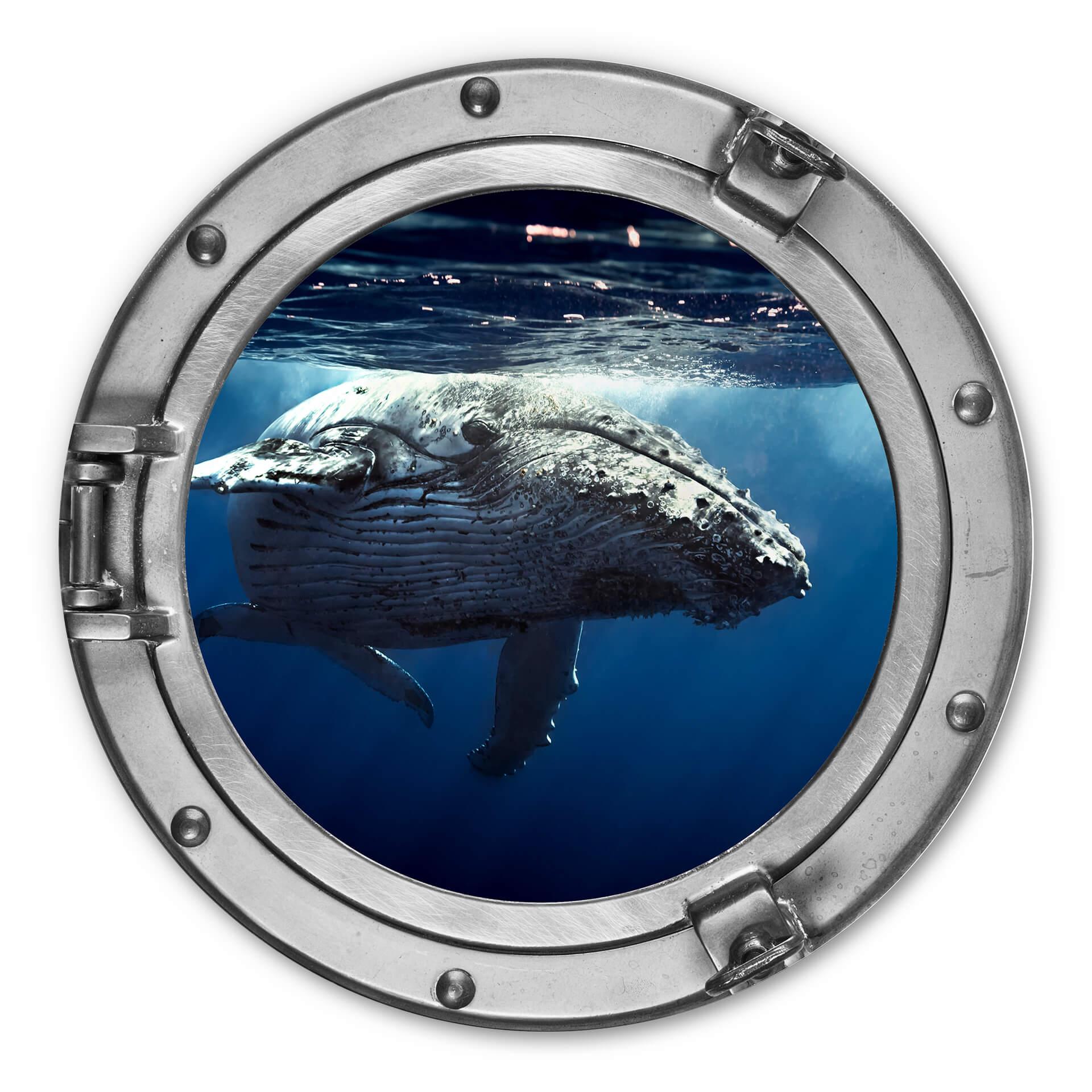 Tableau en alu-Dibond hublot effet 3D - Baleine - Rond