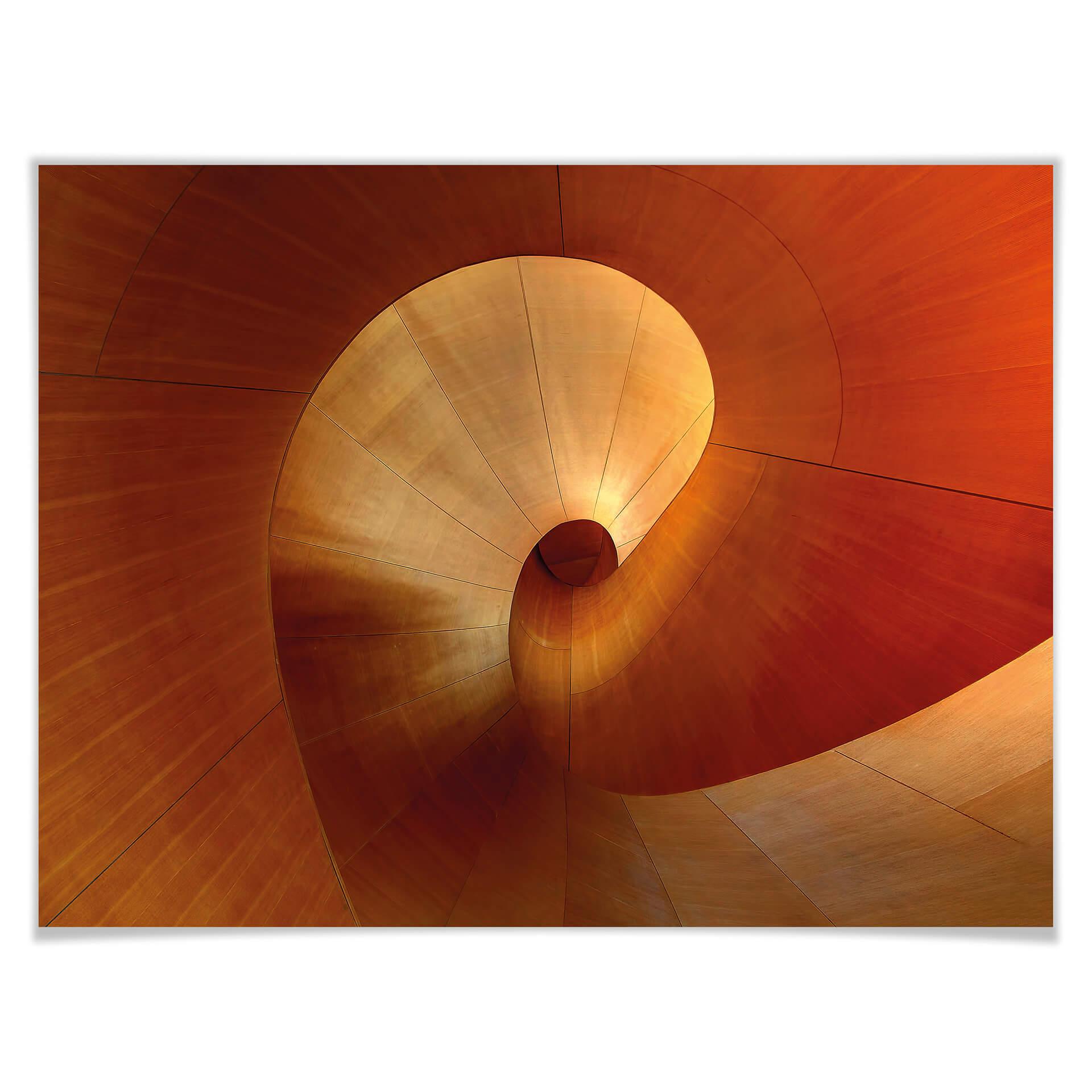 Póster Shainidze - La curva