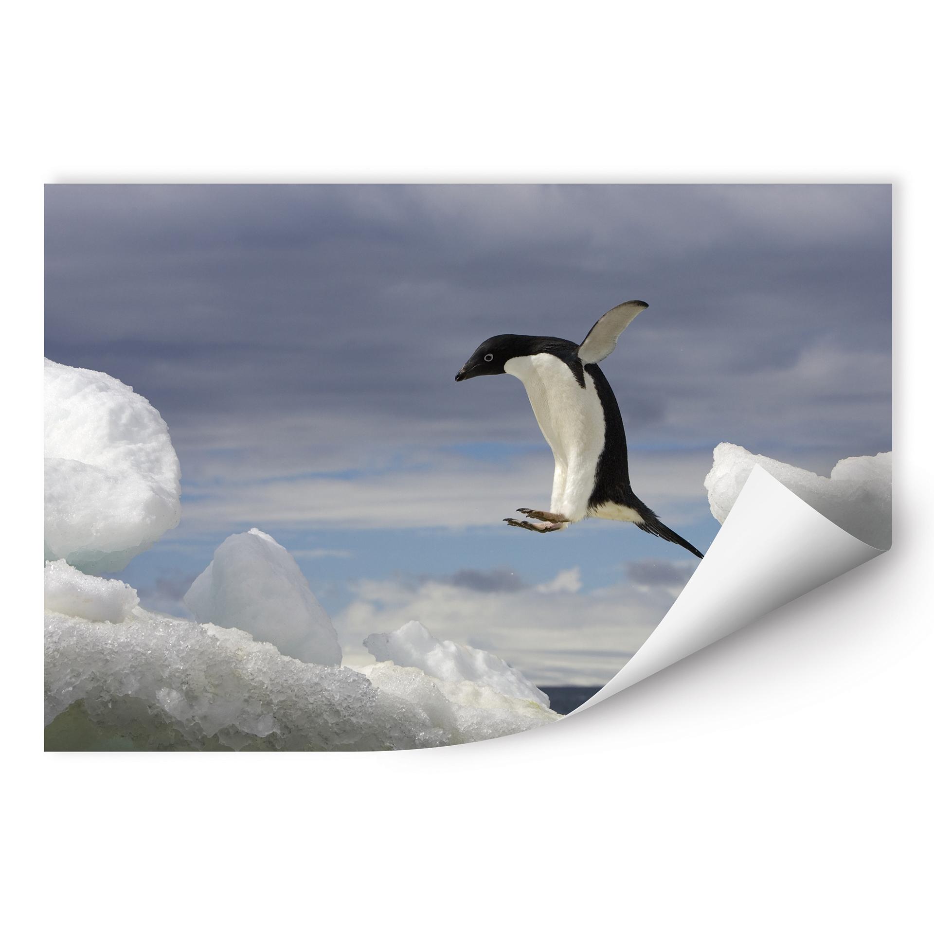 Poster autocollant - W - NG Pinguin Fly