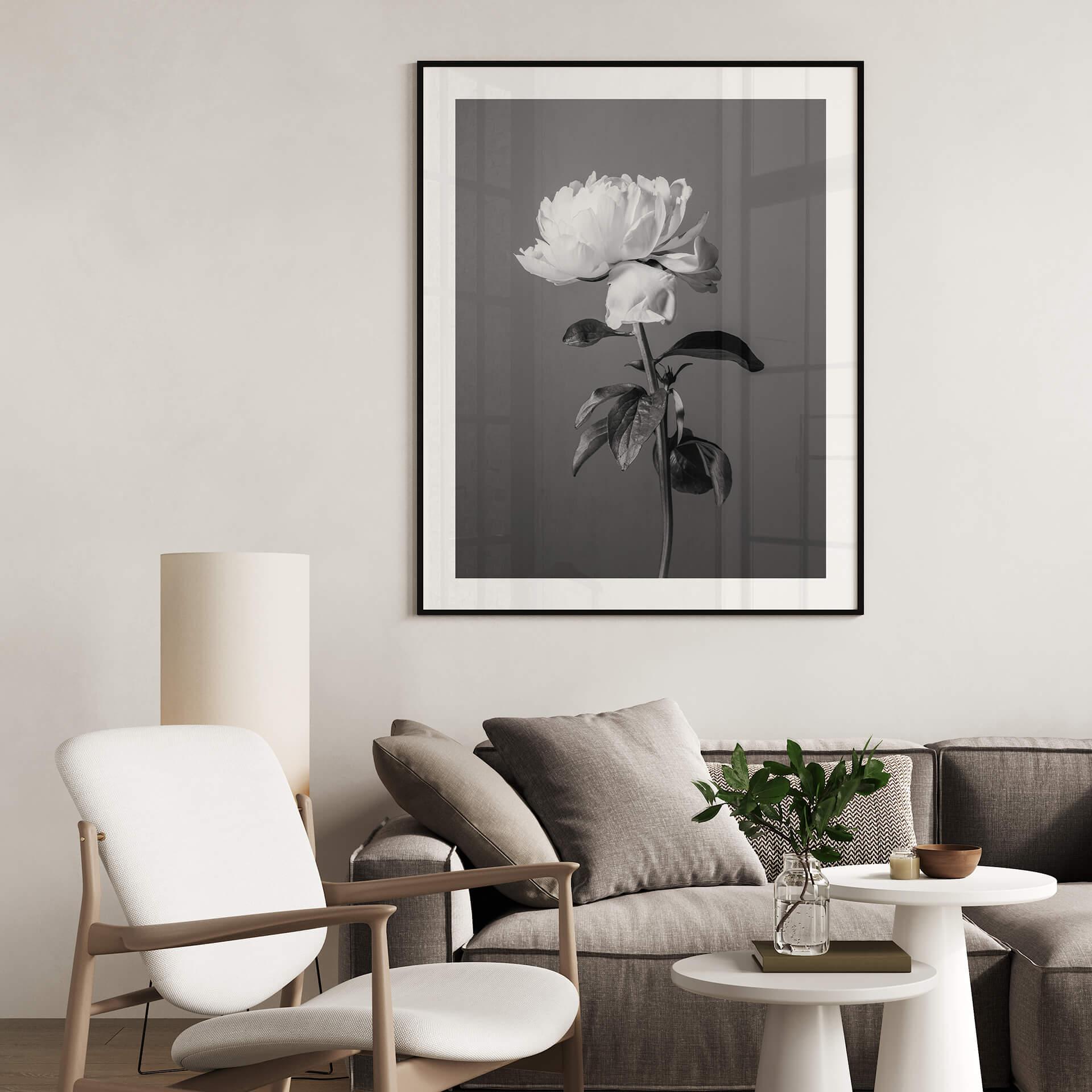 Poster 1X Studio - Zwart Witte Rozen